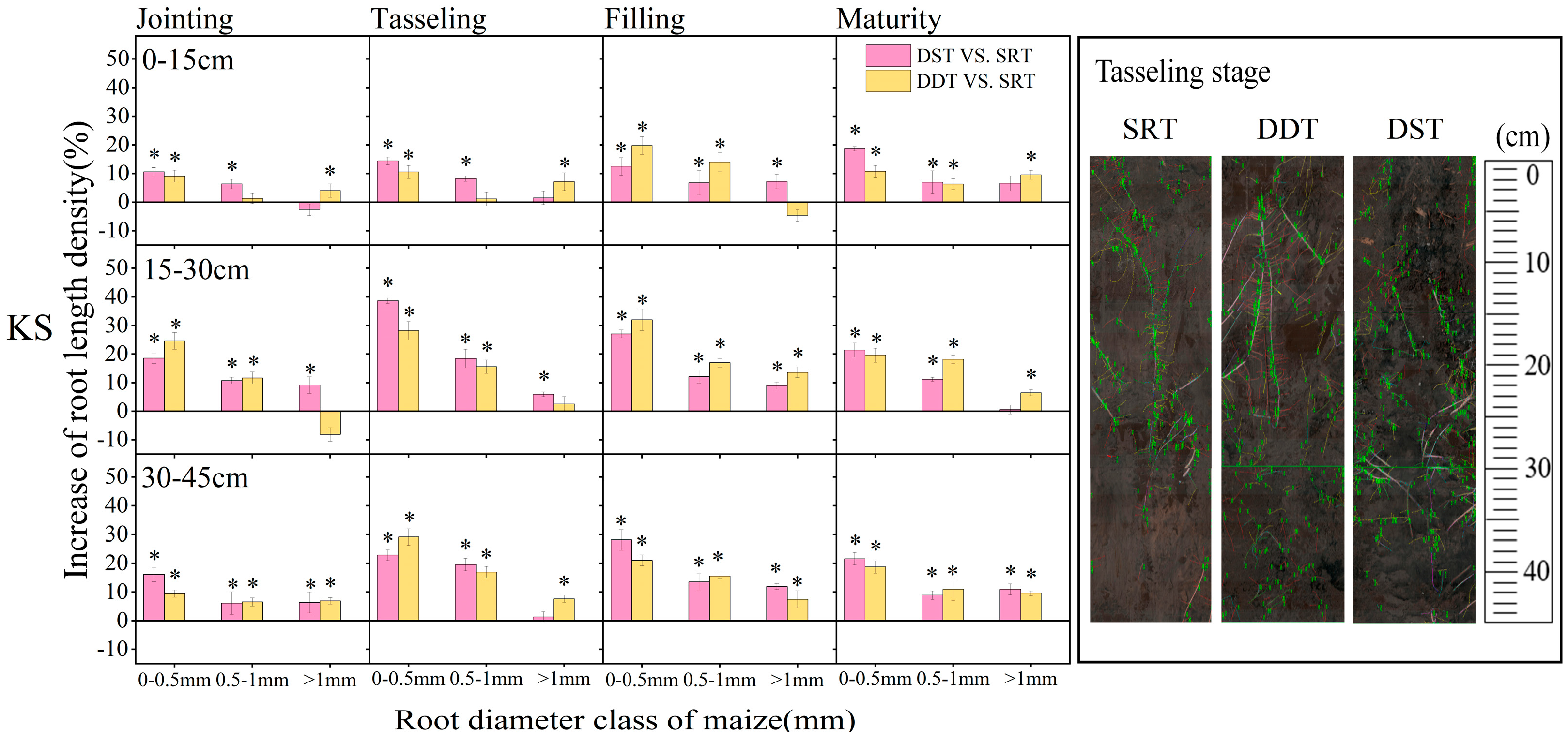 Agronomy 14 02504 g006b