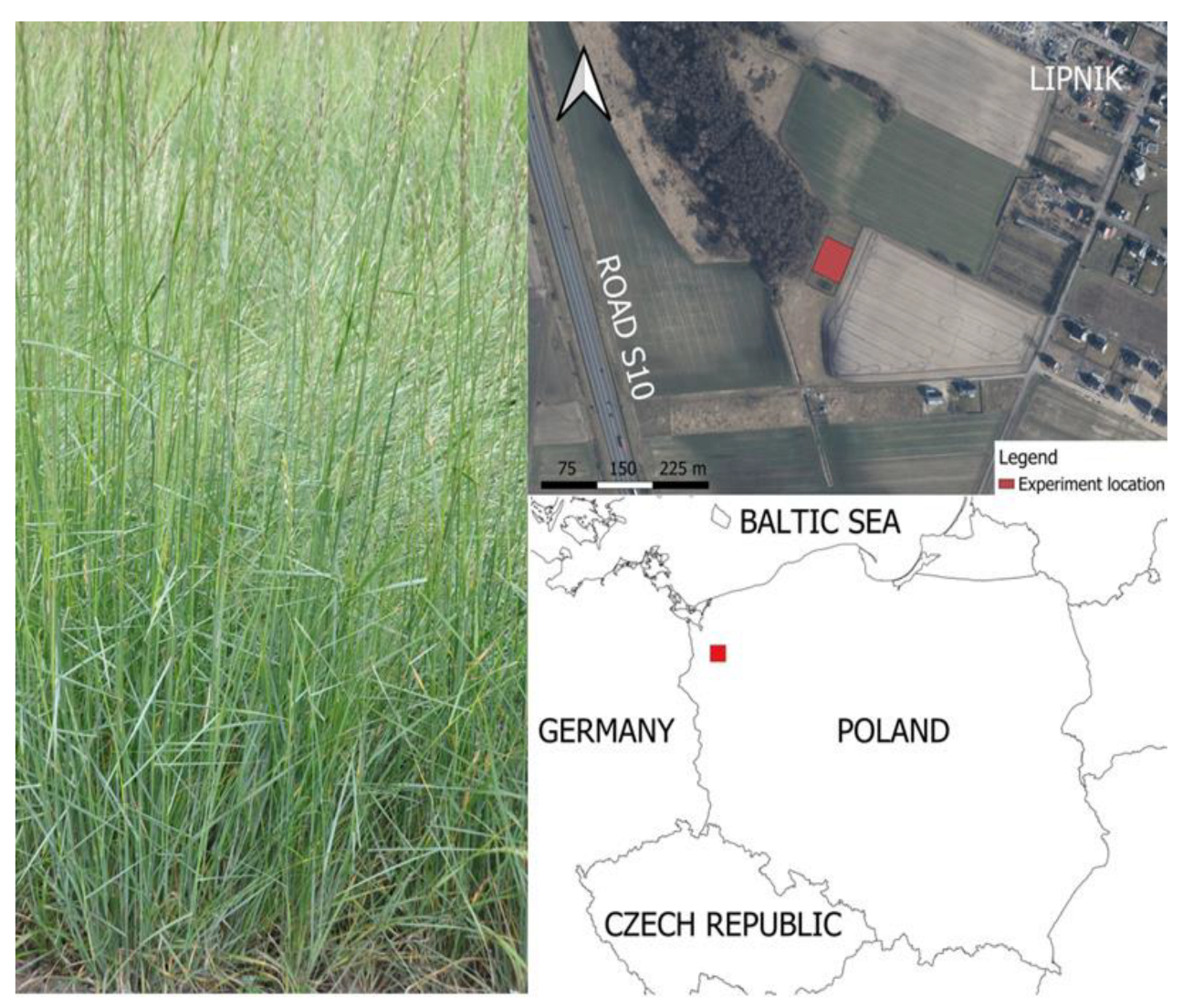 Agronomy 14 02508 g002 Agronomy 14 02508 g002