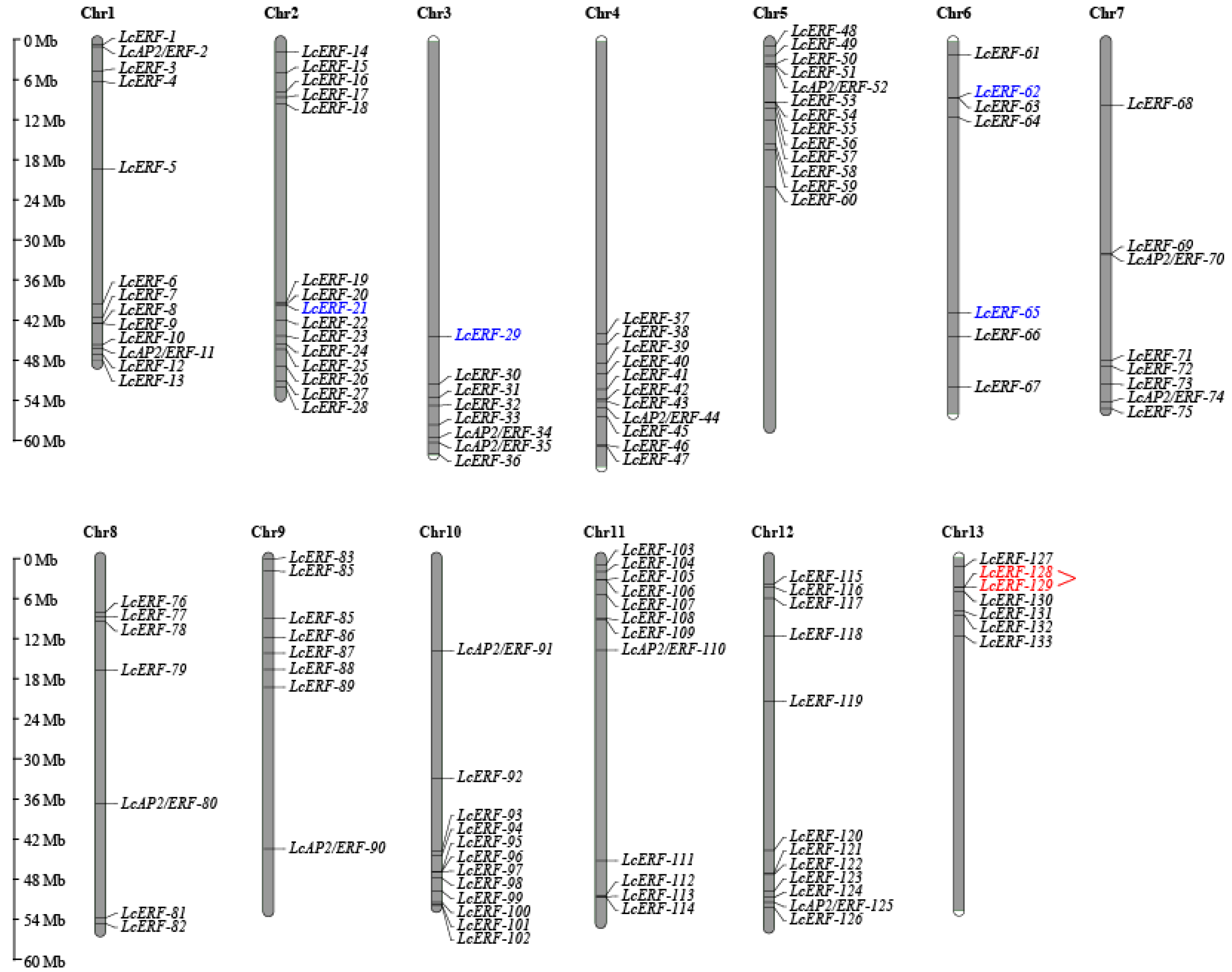 Agronomy 14 02509 g001