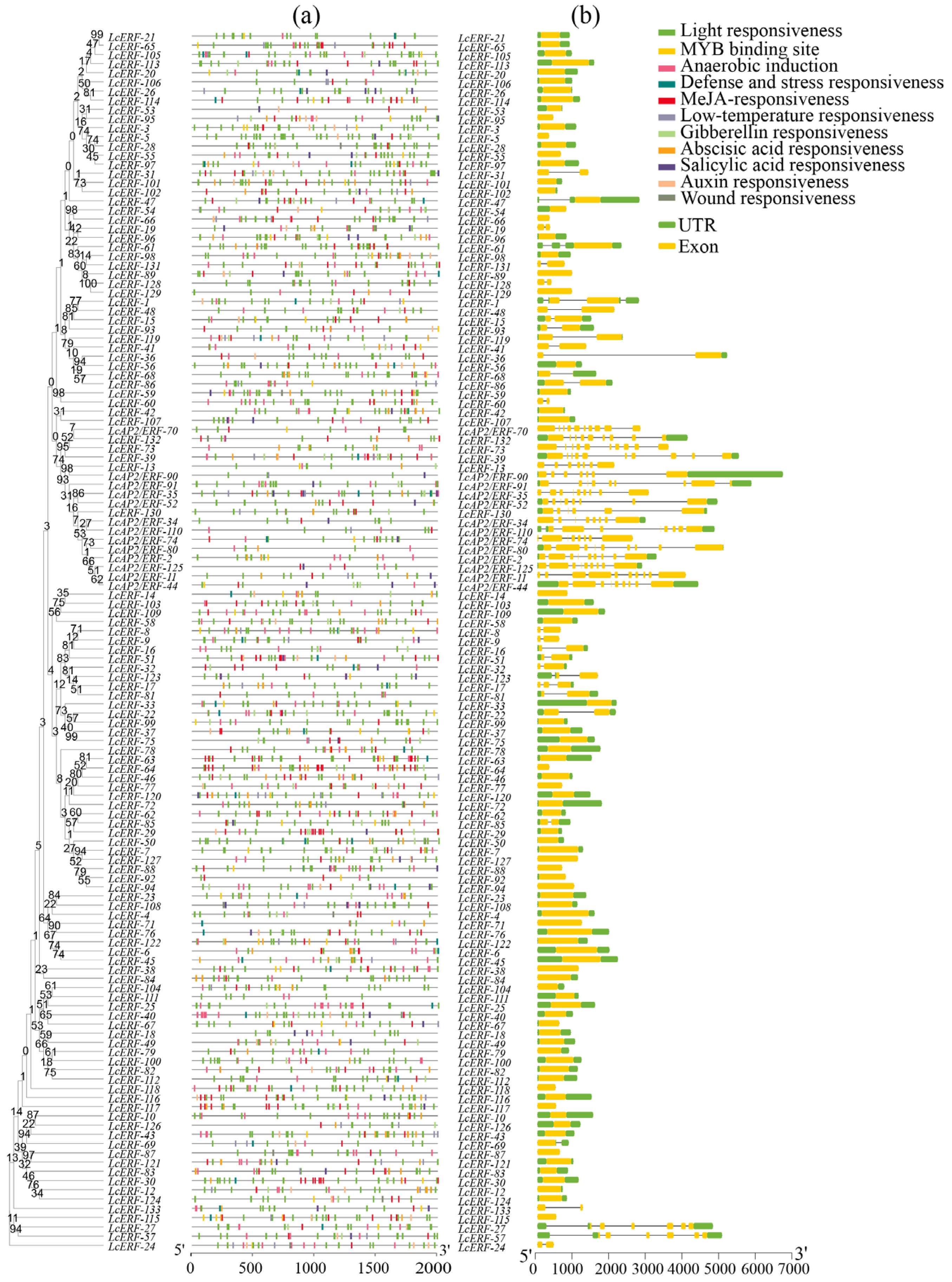 Agronomy 14 02509 g002