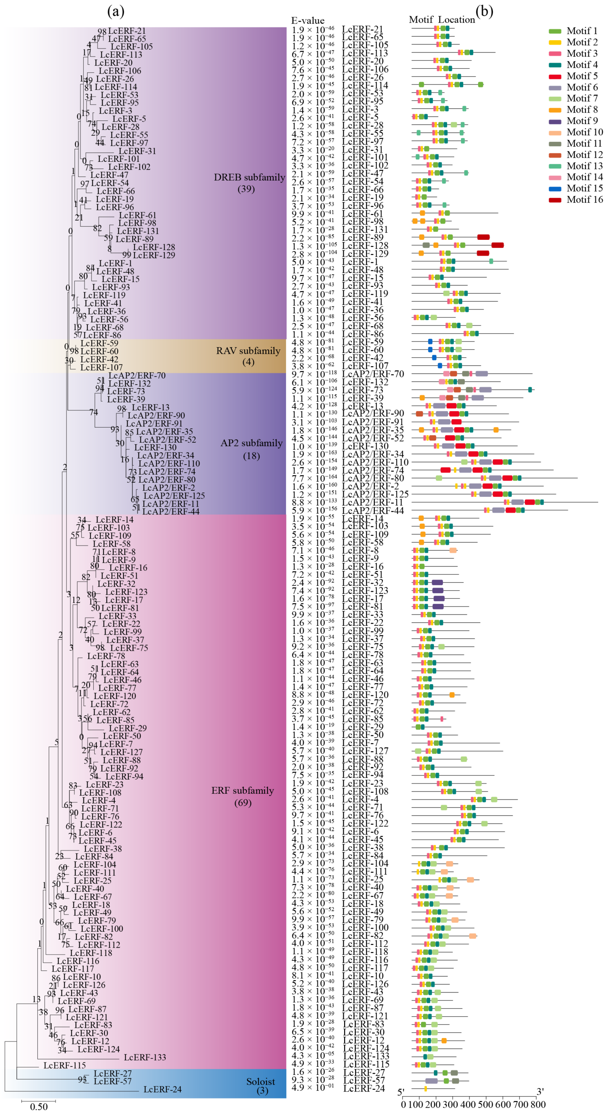 Agronomy 14 02509 g003