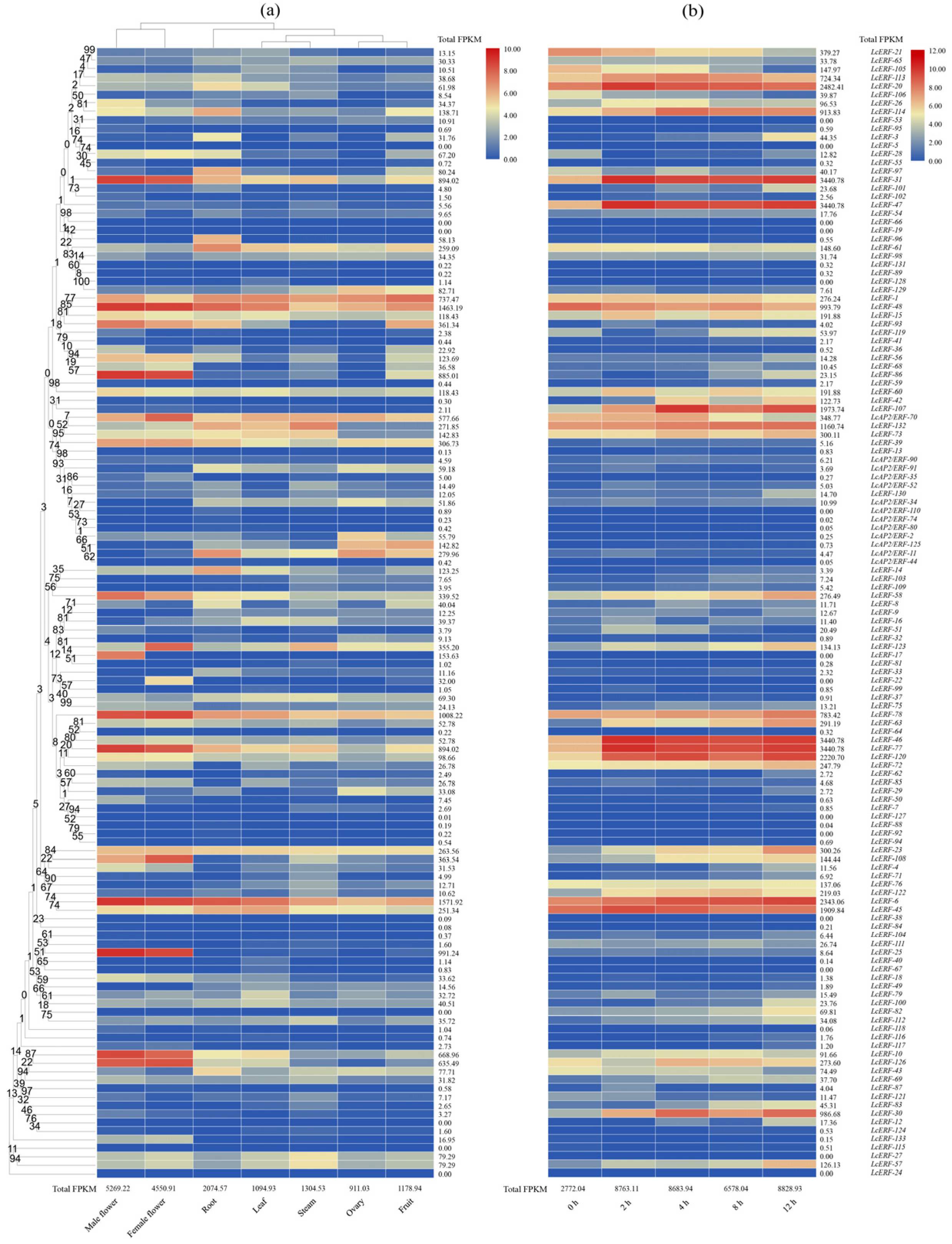 Agronomy 14 02509 g004
