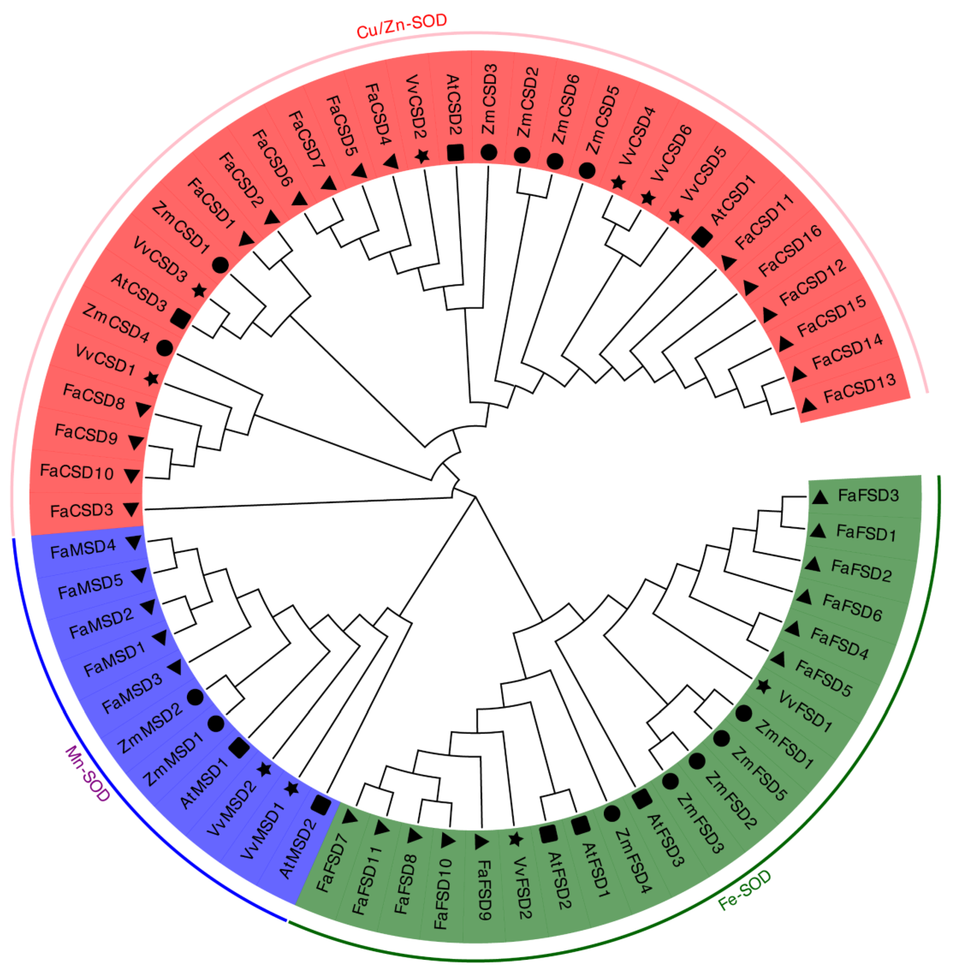 Agronomy 14 02514 g001