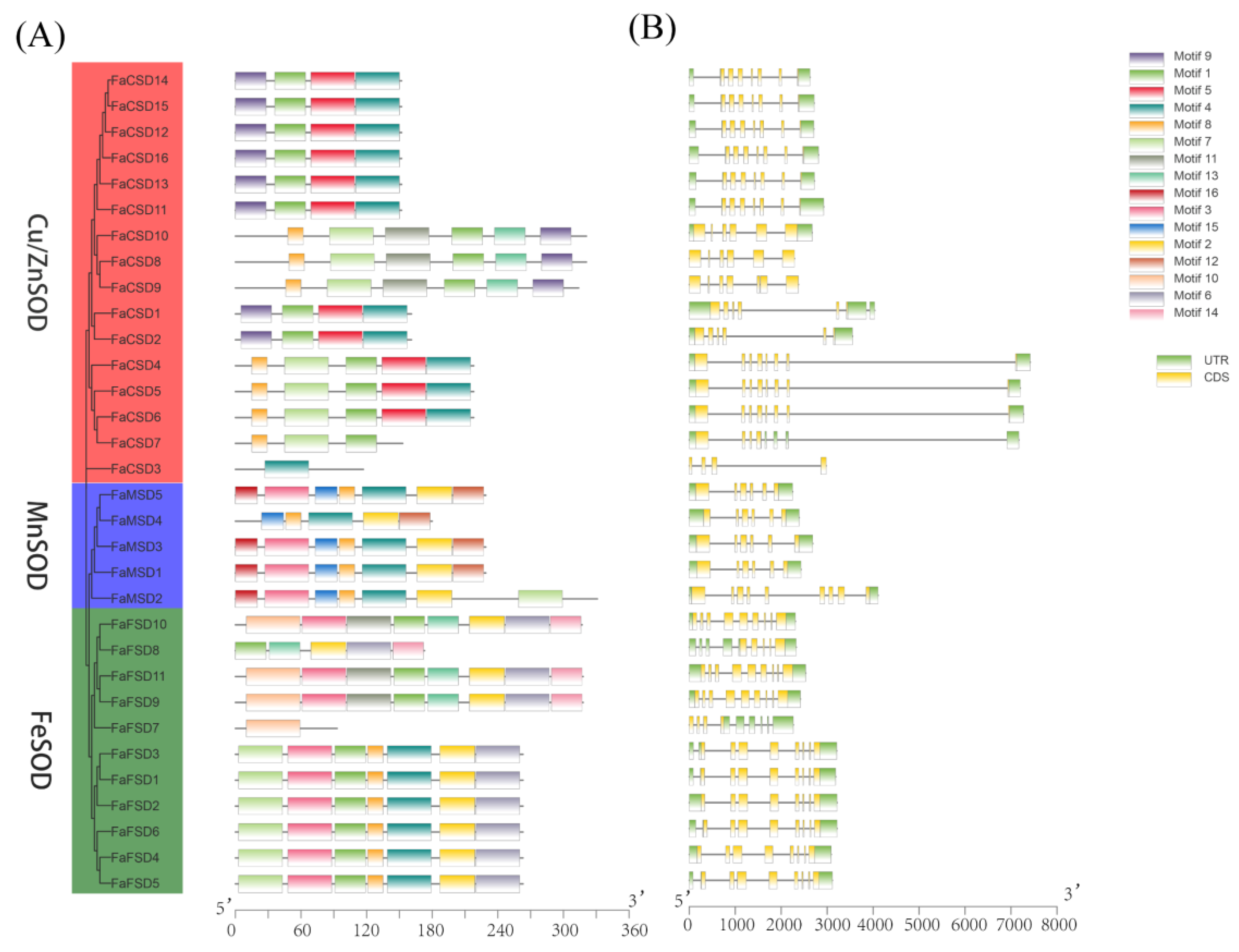 Agronomy 14 02514 g003
