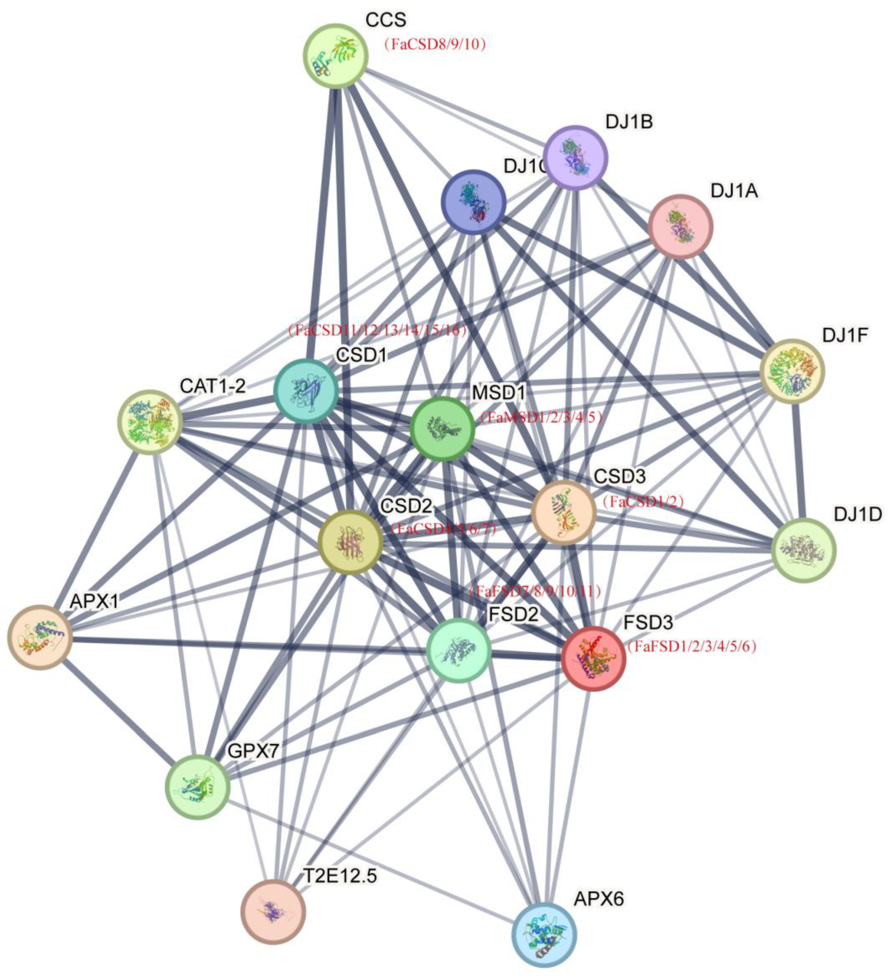 Agronomy 14 02514 g005