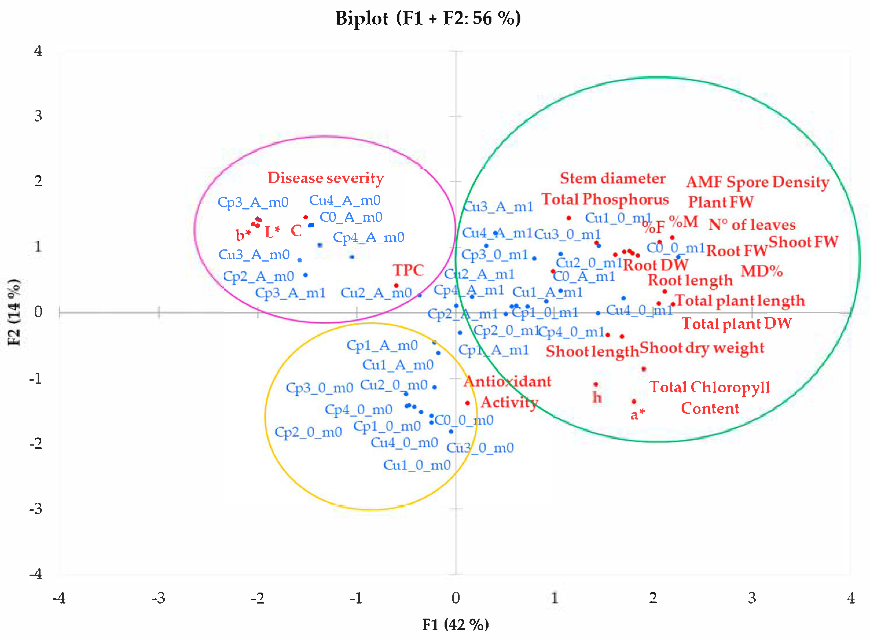 pedo onion Composition and Biological Properties of Blanched Skin and Blanch Water  Belonging to Three Sicilian Almond Cultivars