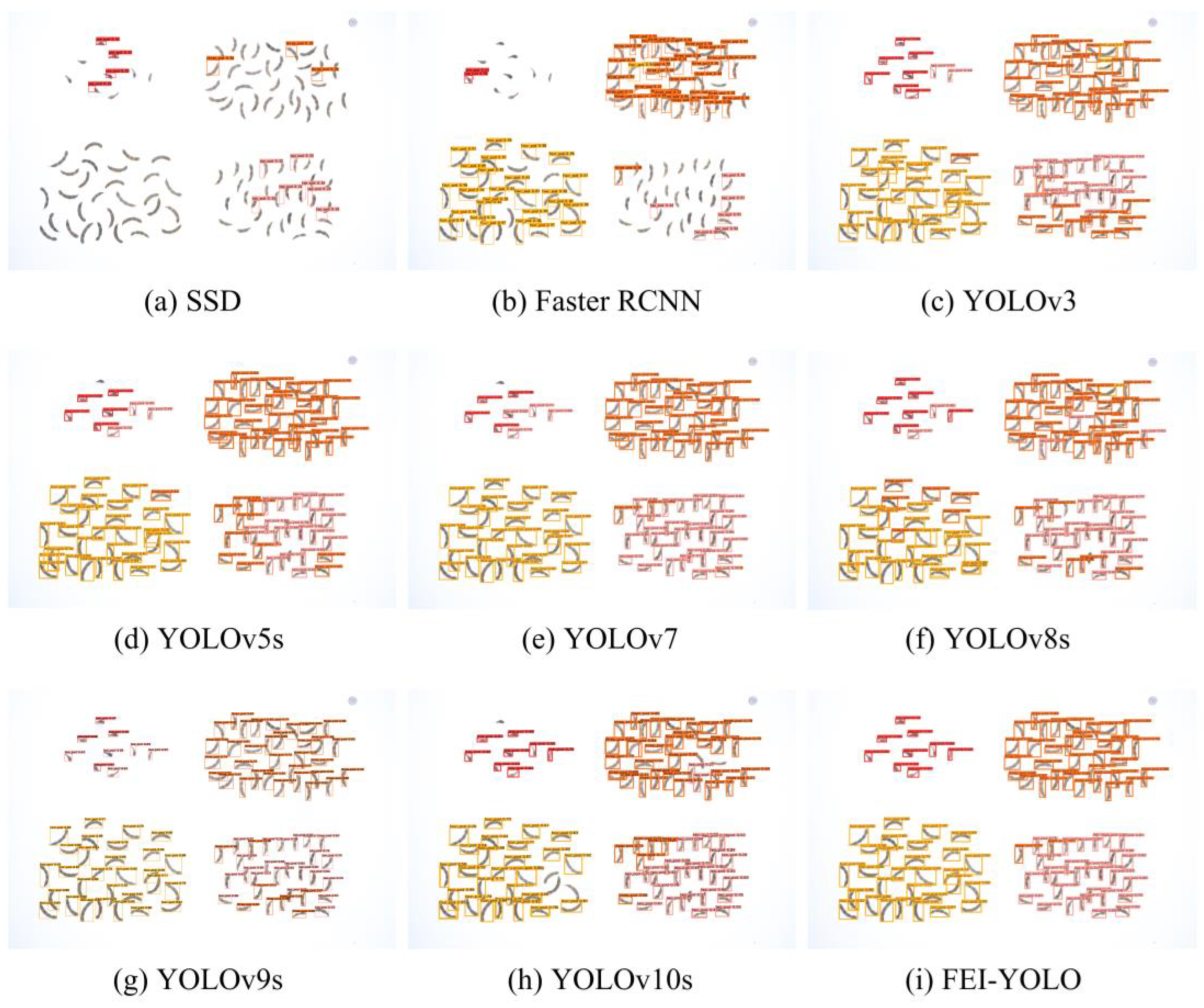 Agronomy 14 02526 g009