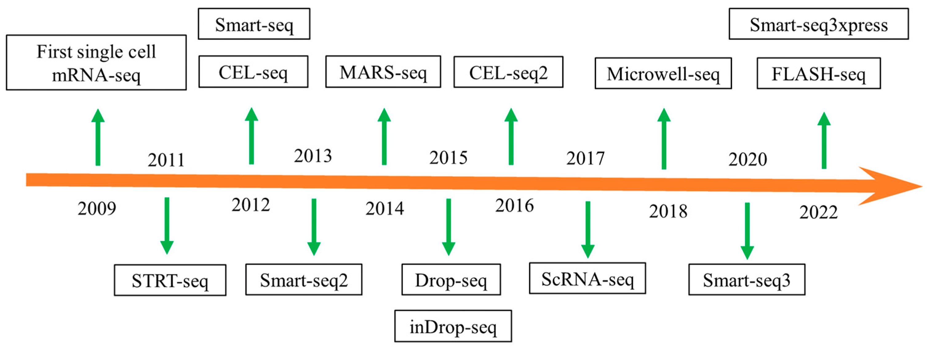 Agronomy 14 02530 g002