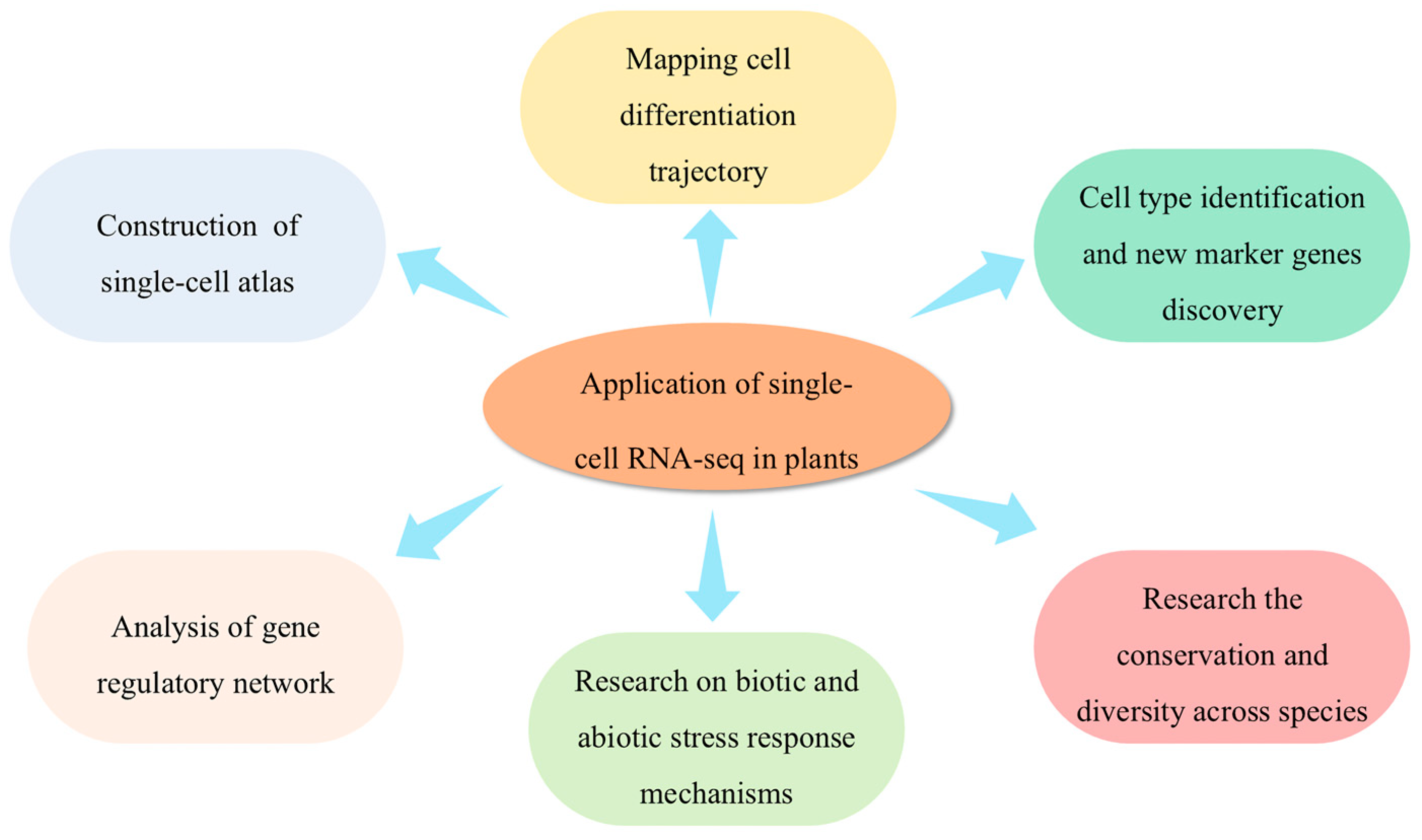 Agronomy 14 02530 g003