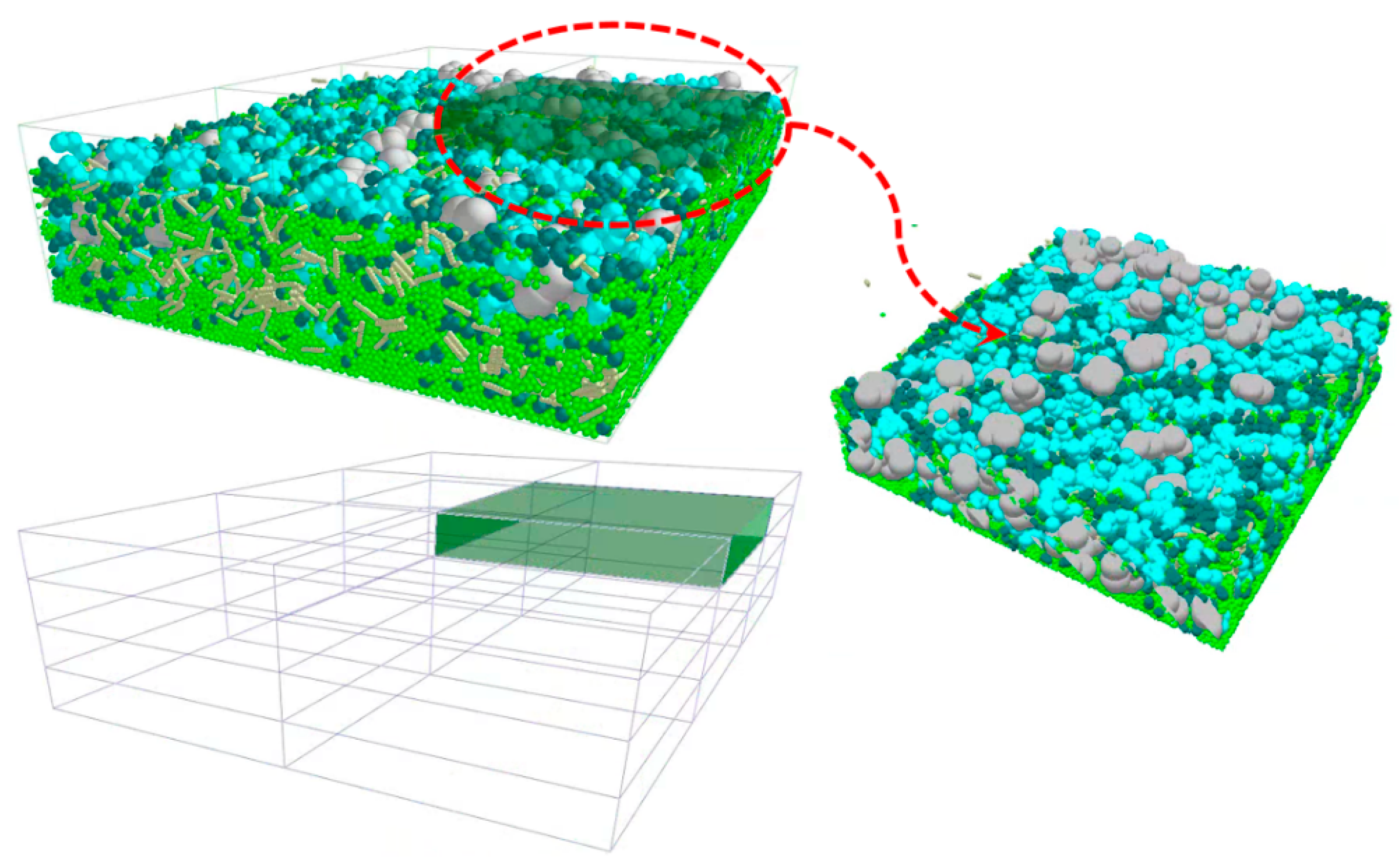 Agronomy 14 02531 g021