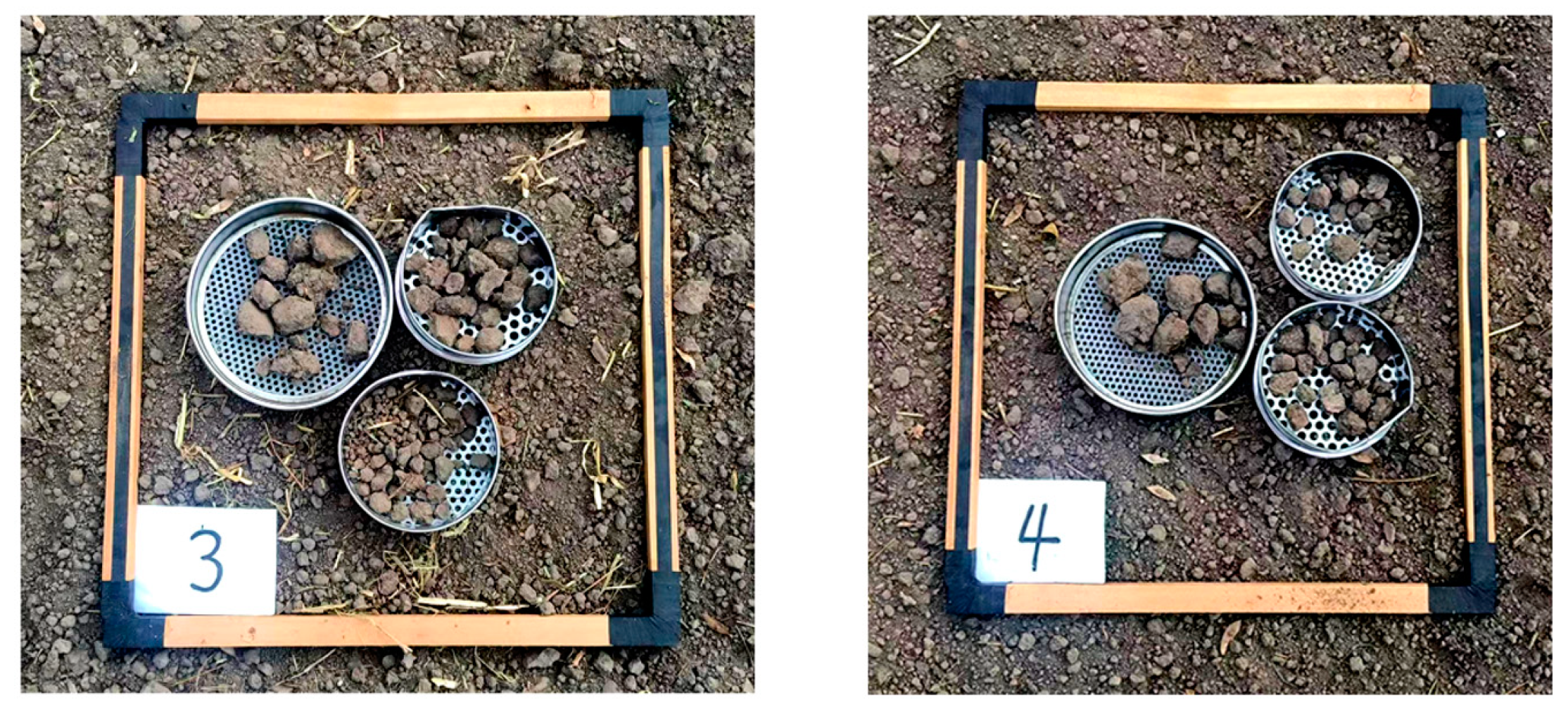 Agronomy 14 02531 g024