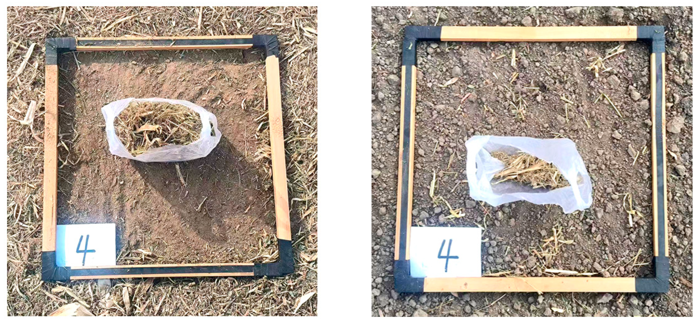 Agronomy 14 02531 g025