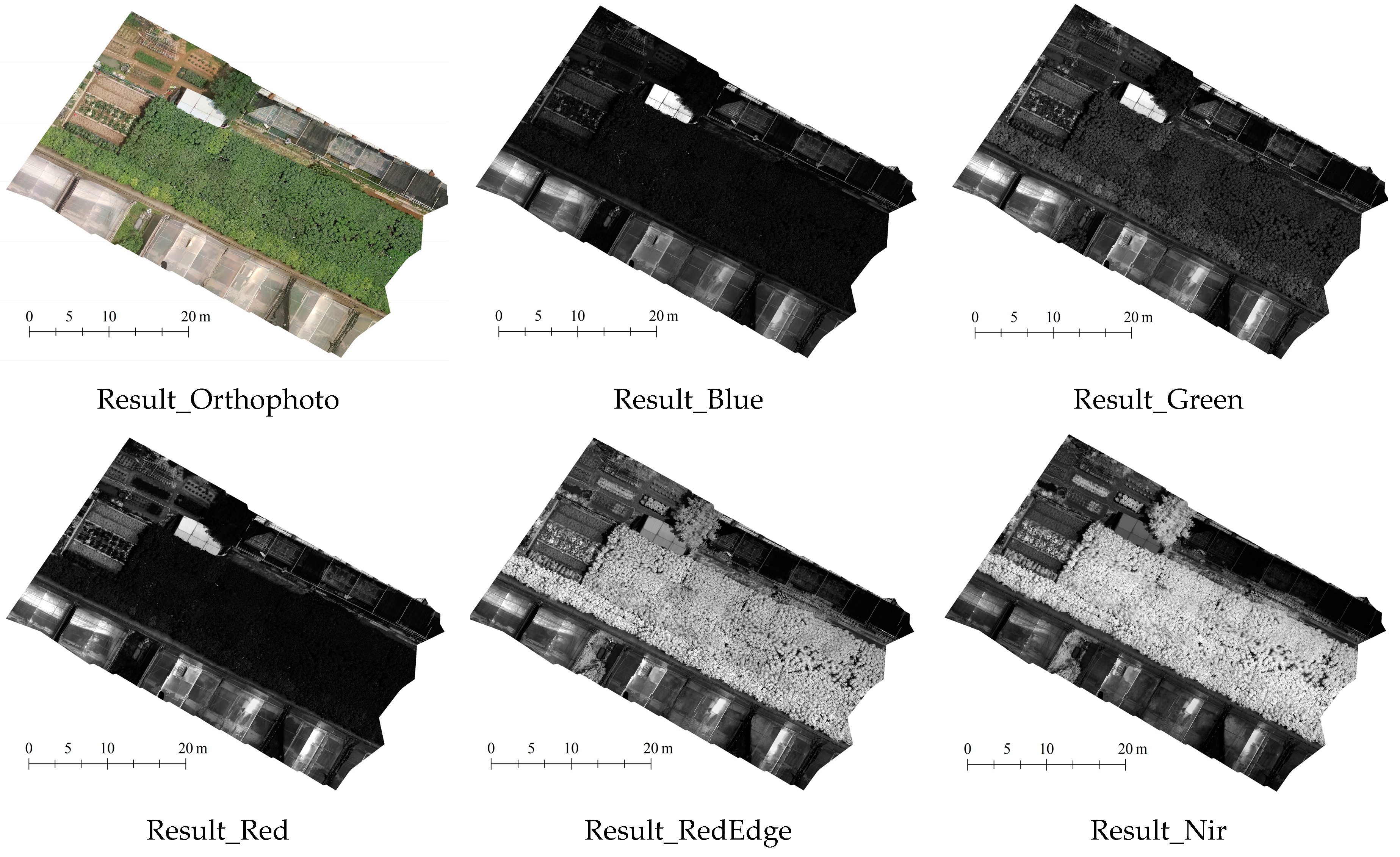 Agronomy 14 02534 g001