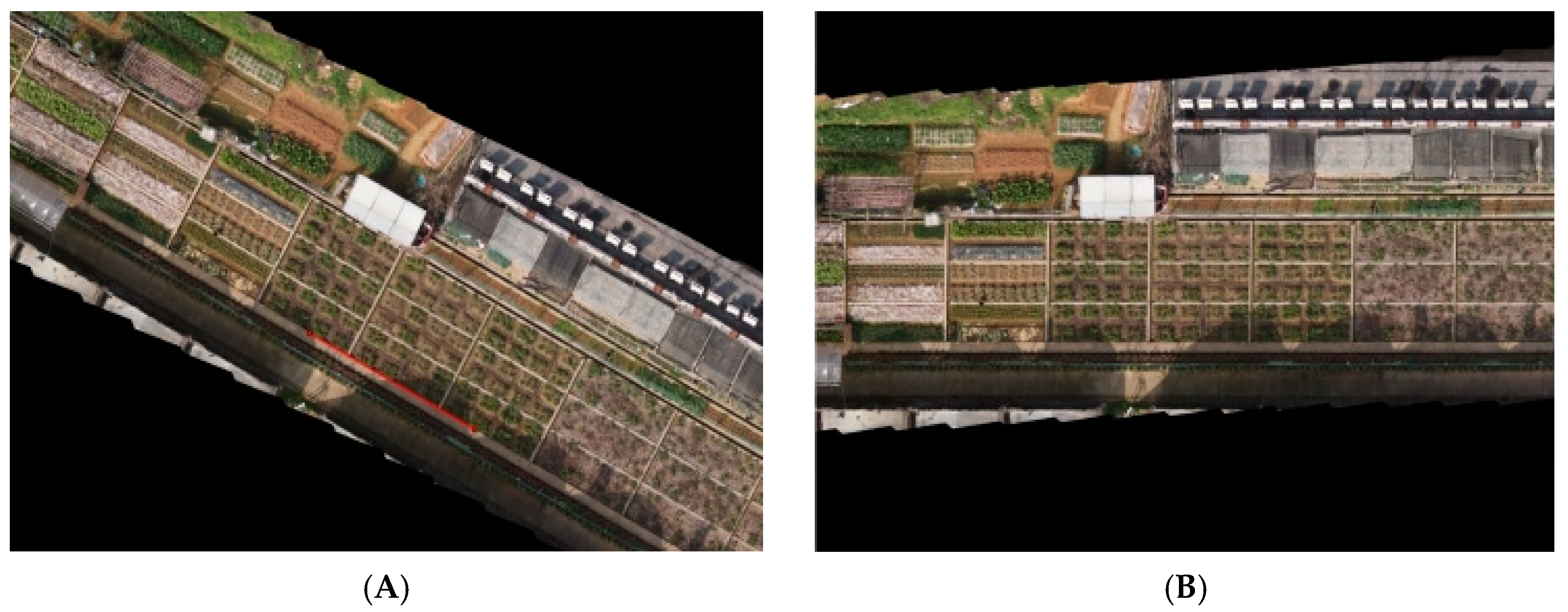 Agronomy 14 02534 g004