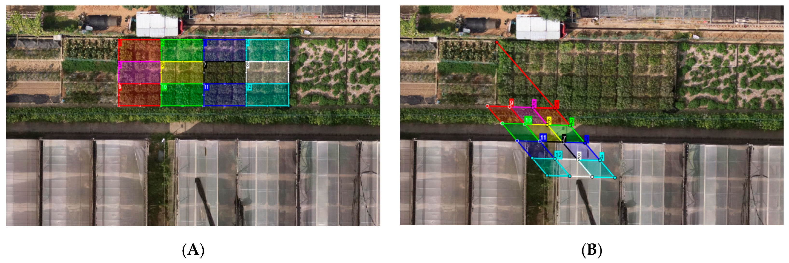 Agronomy 14 02534 g005