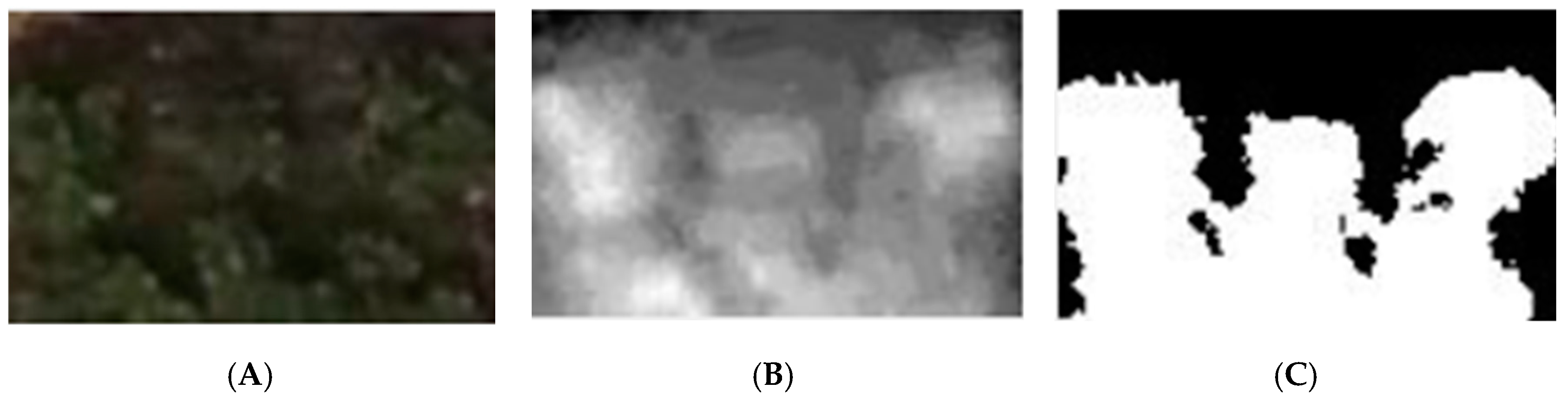 Agronomy 14 02534 g006