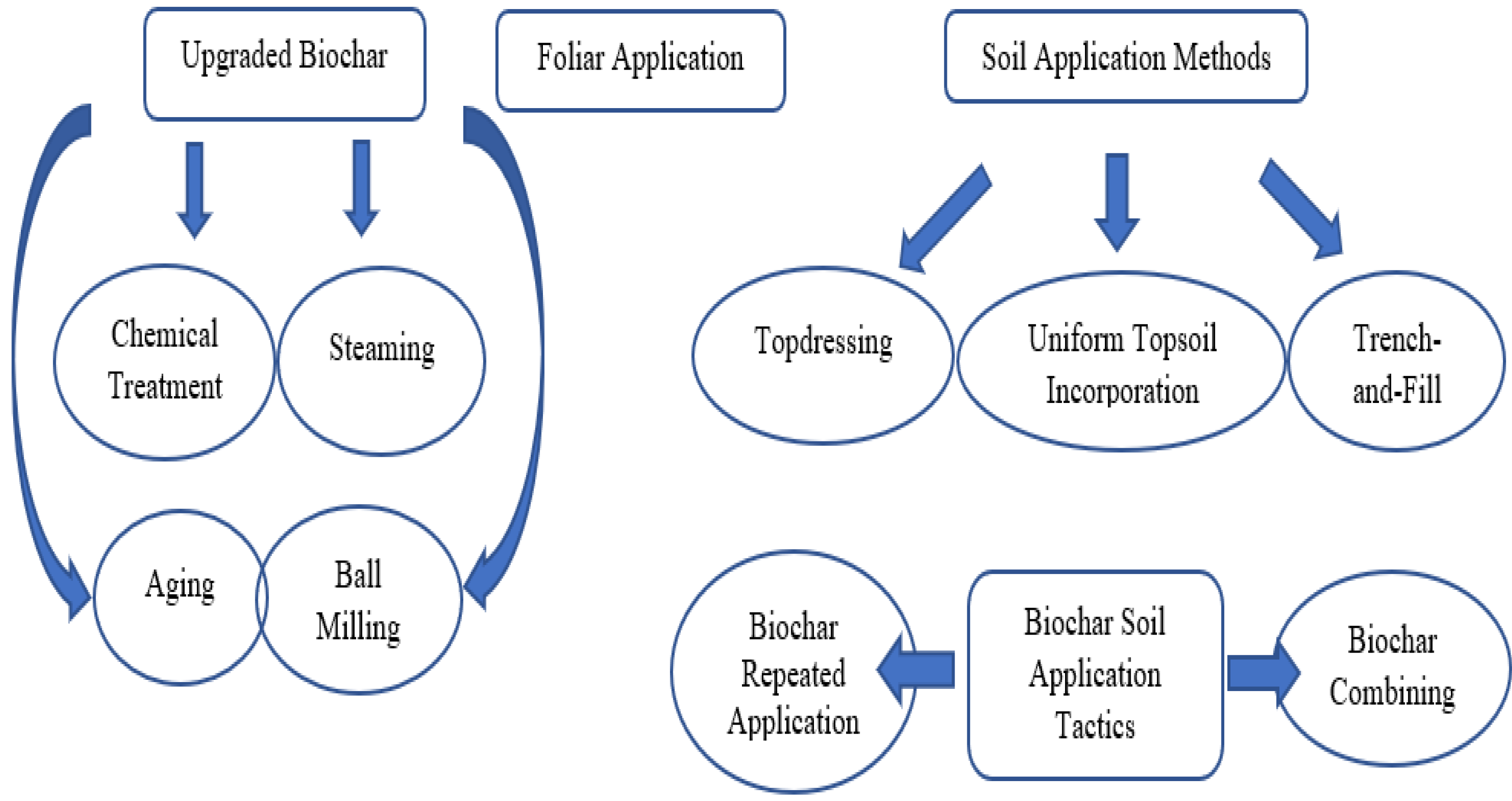 Agronomy 14 02540 g001