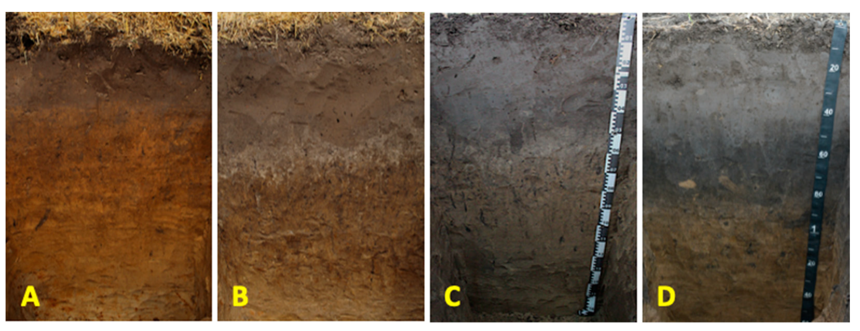 Agronomy 14 02544 g002