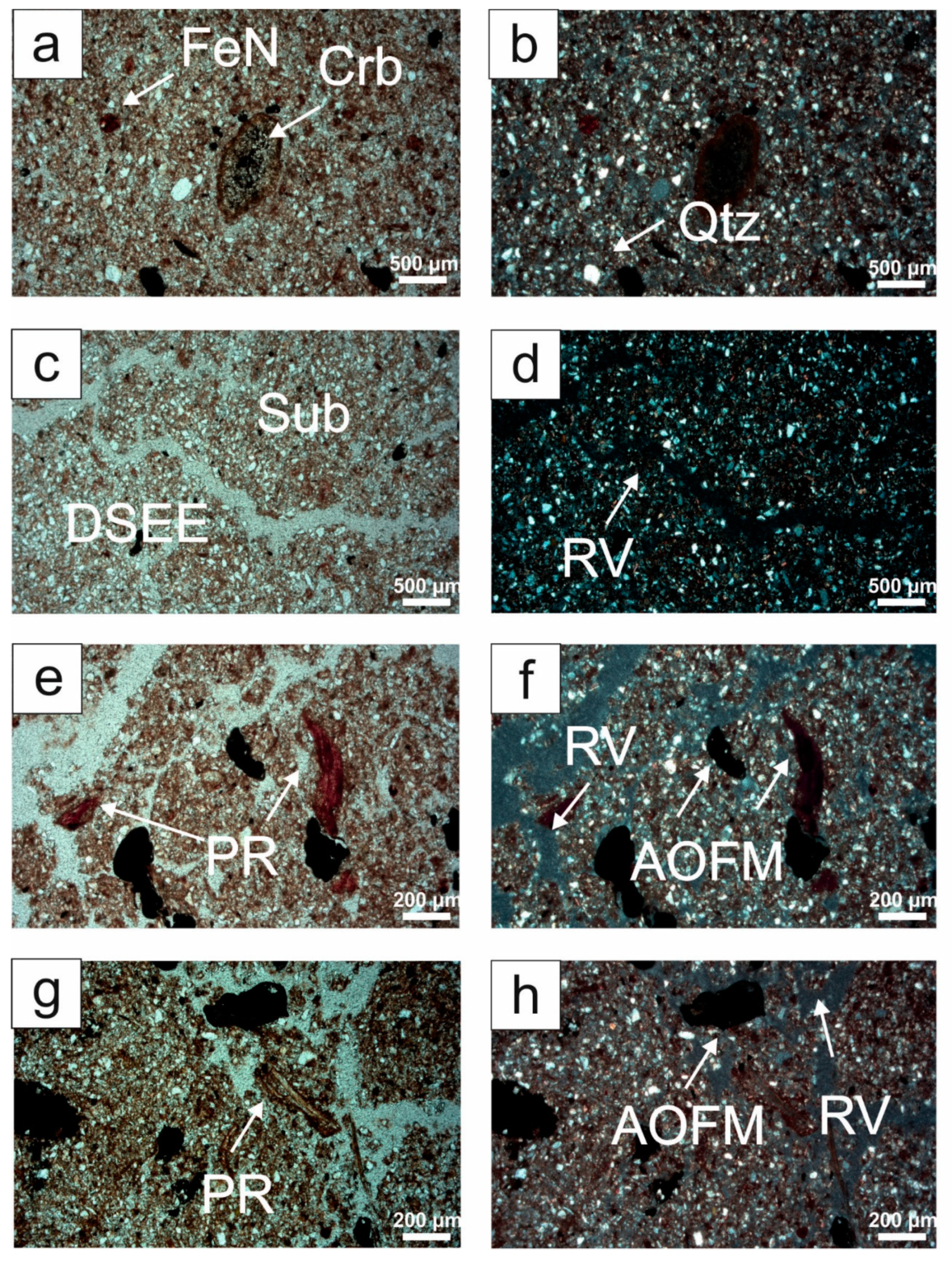 Agronomy 14 02544 g003