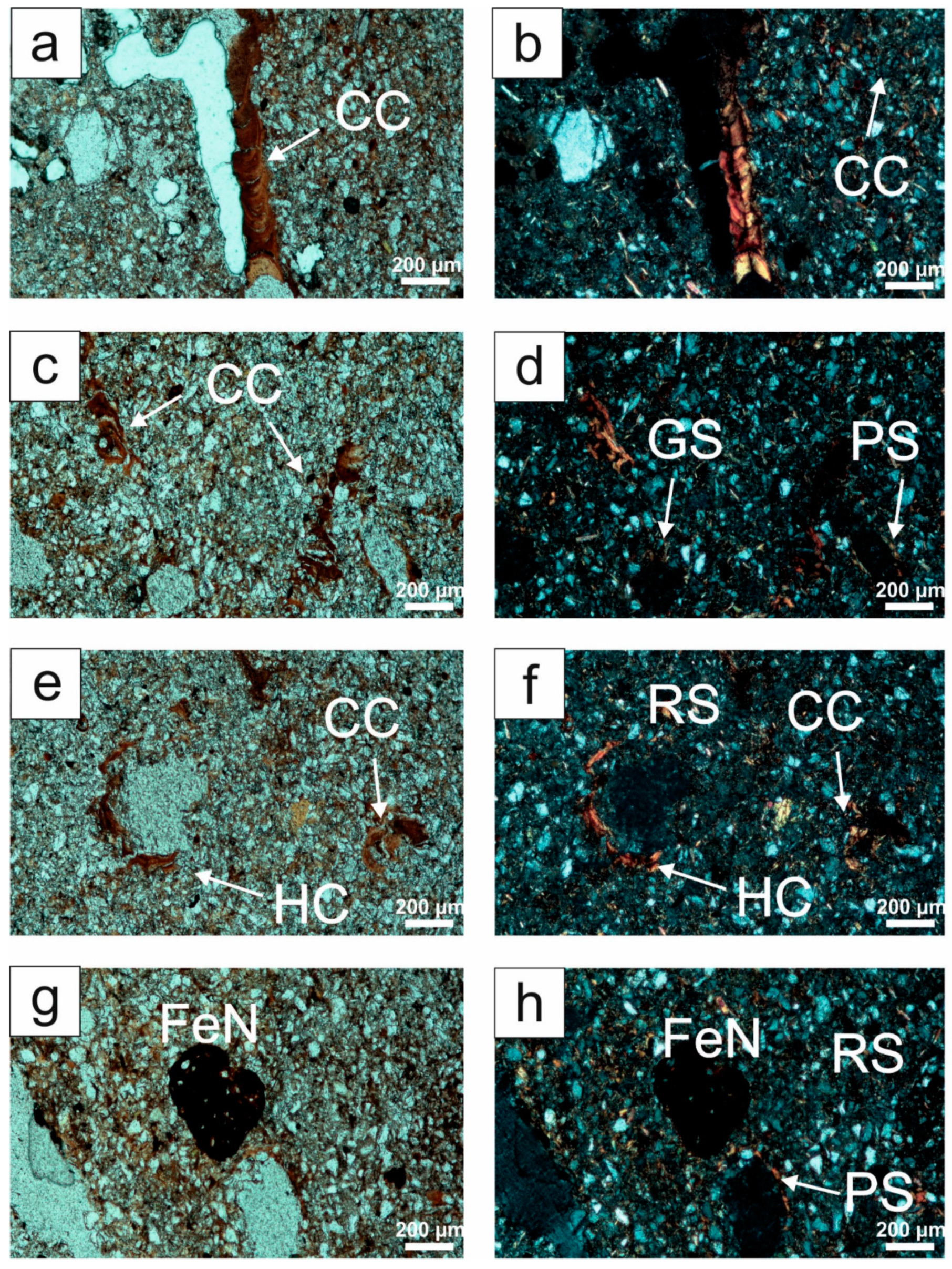 Agronomy 14 02544 g004
