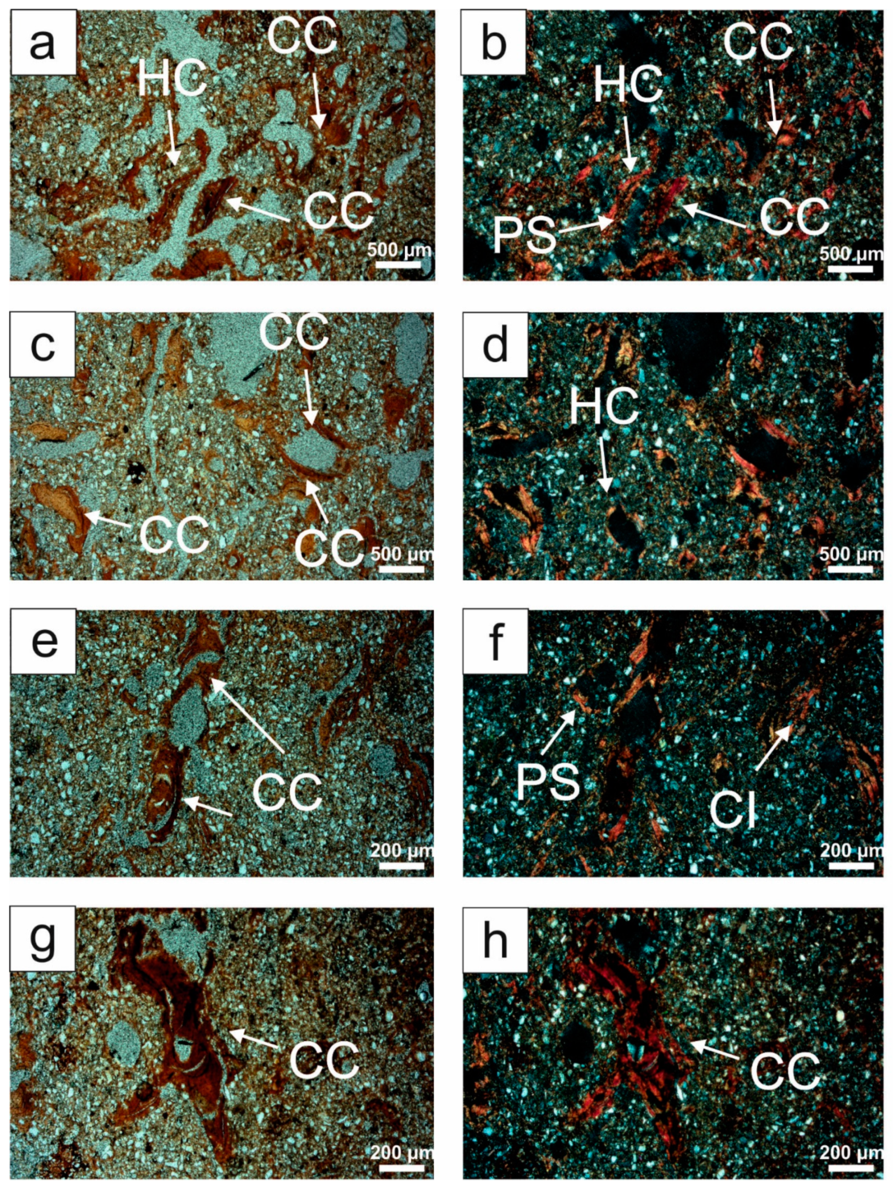 Agronomy 14 02544 g005