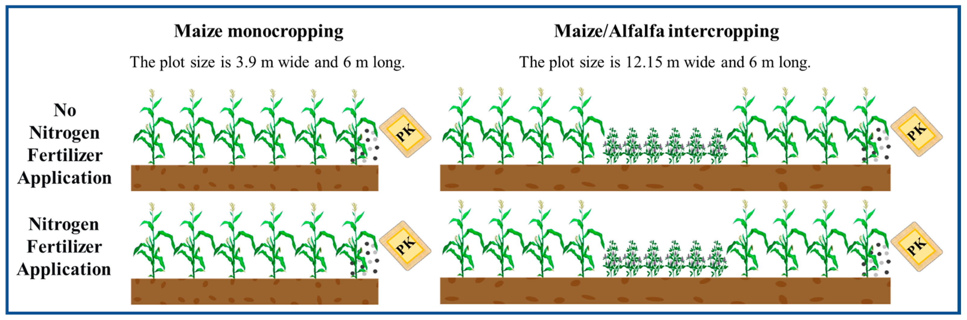 Agronomy 14 02554 g001