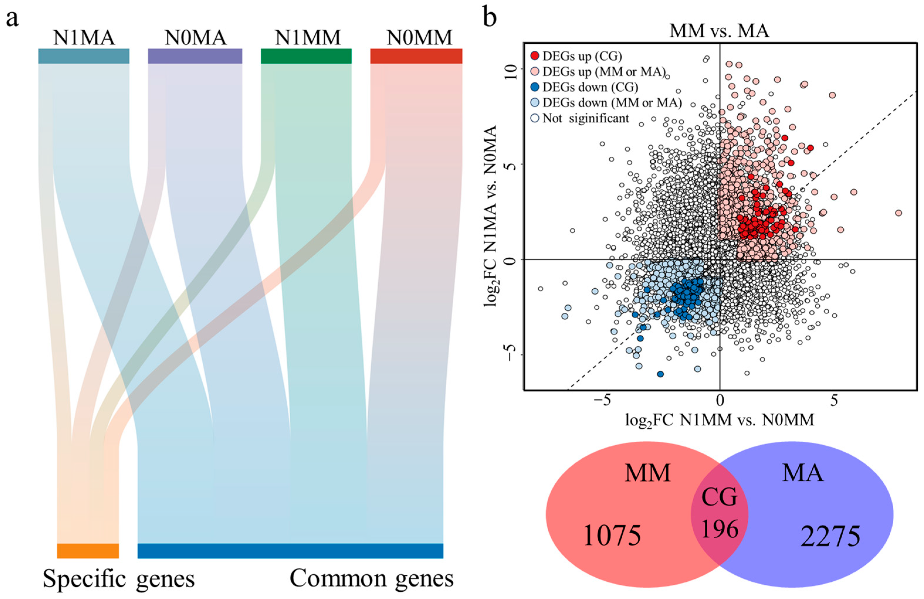 Agronomy 14 02554 g002