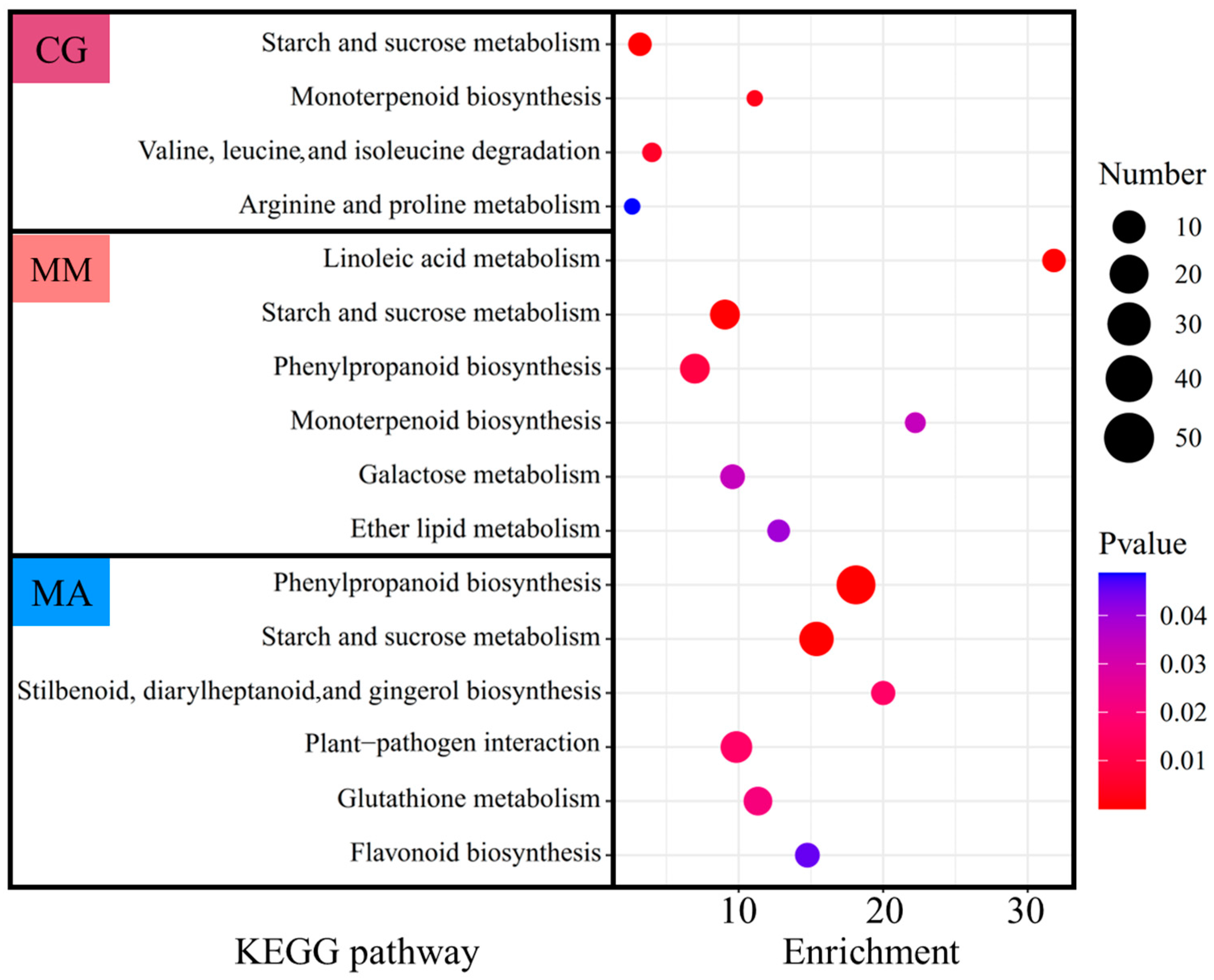 Agronomy 14 02554 g003