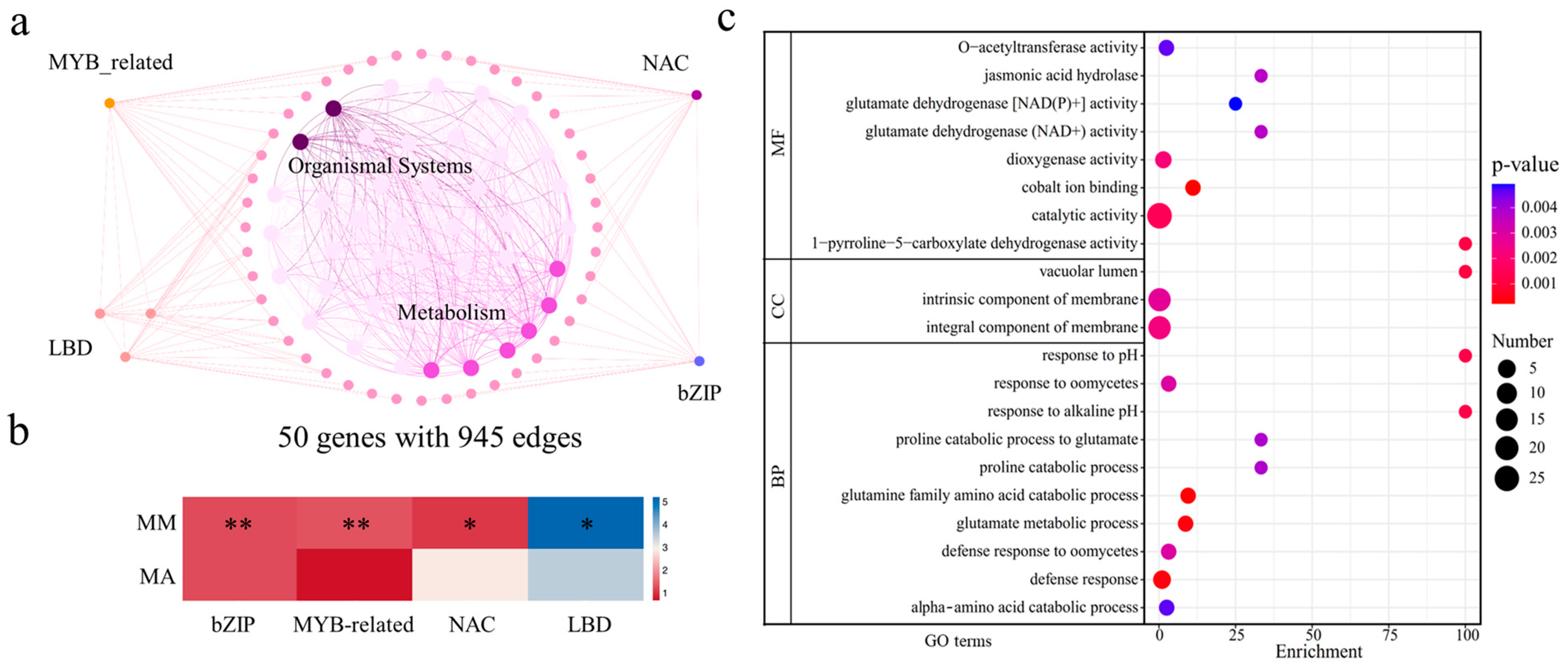 Agronomy 14 02554 g006
