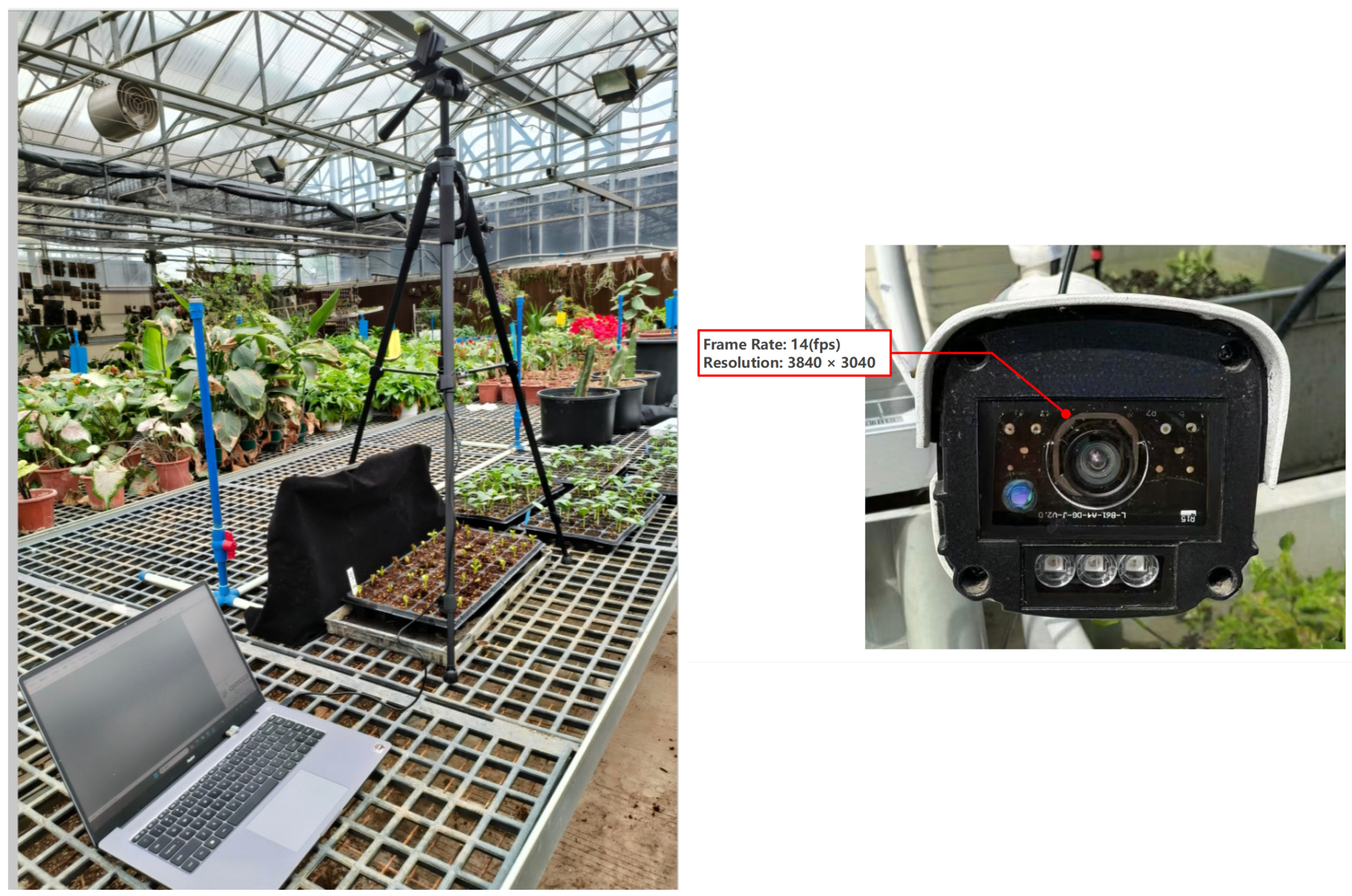 Agronomy 14 02557 g002