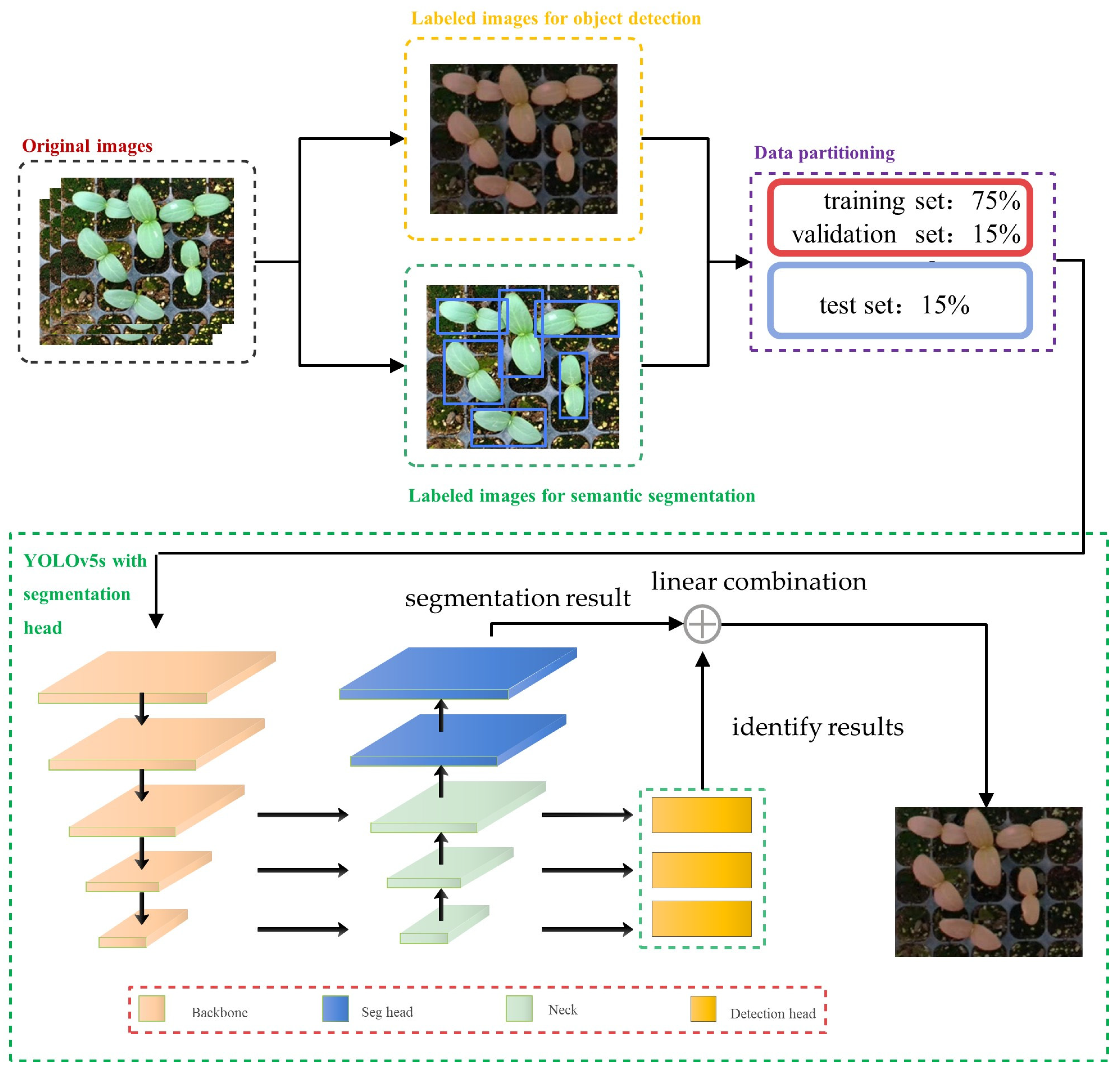 Agronomy 14 02557 g005