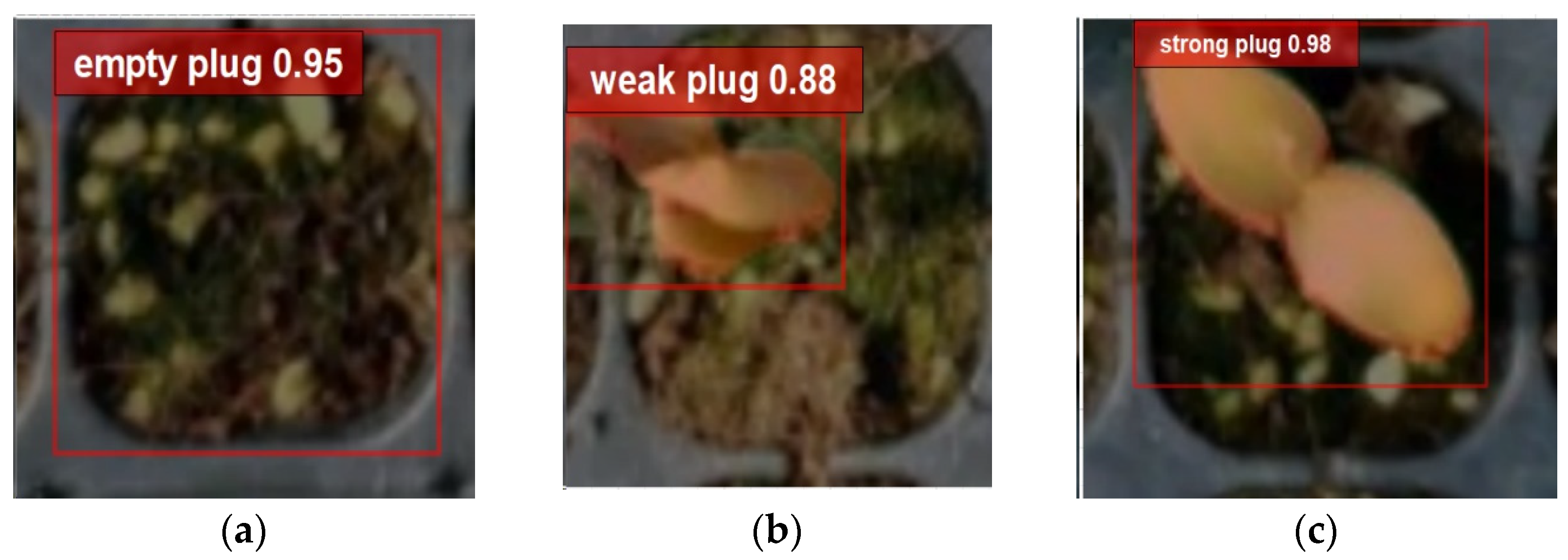 Agronomy 14 02557 g013