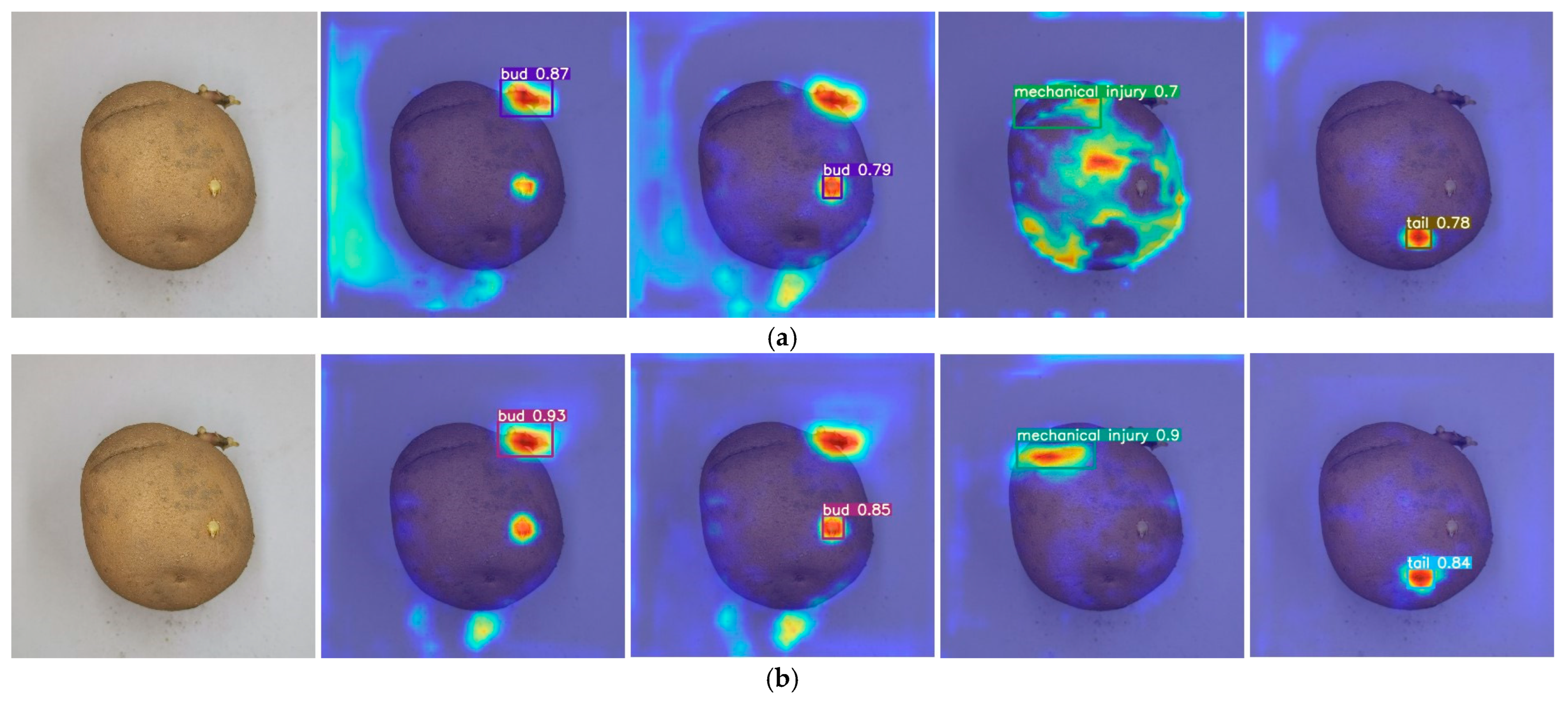Agronomy 14 02558 g012