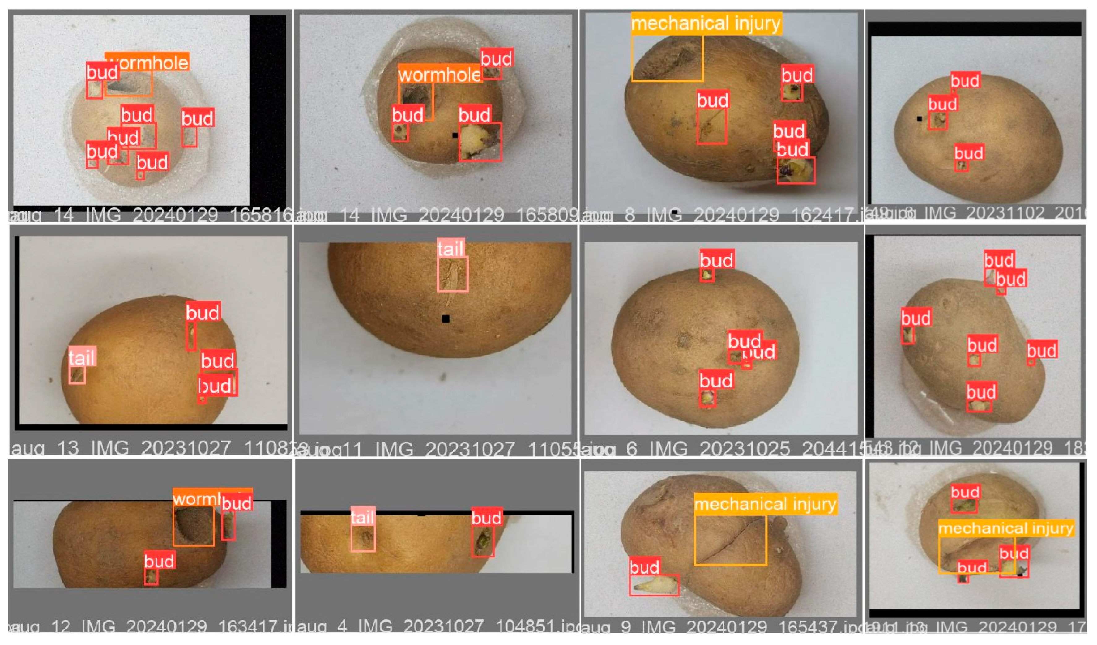 Agronomy 14 02558 g013