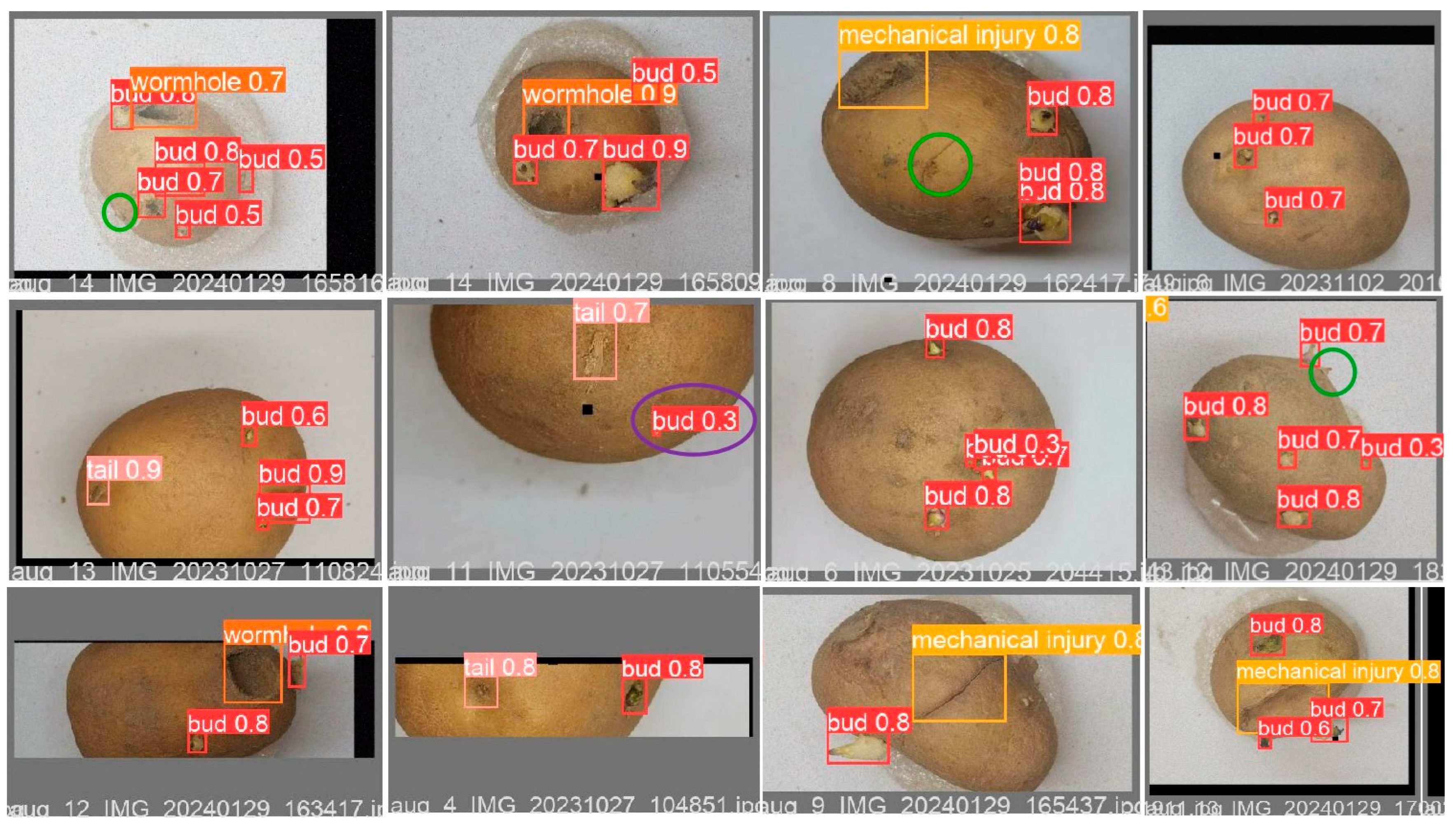Agronomy 14 02558 g014