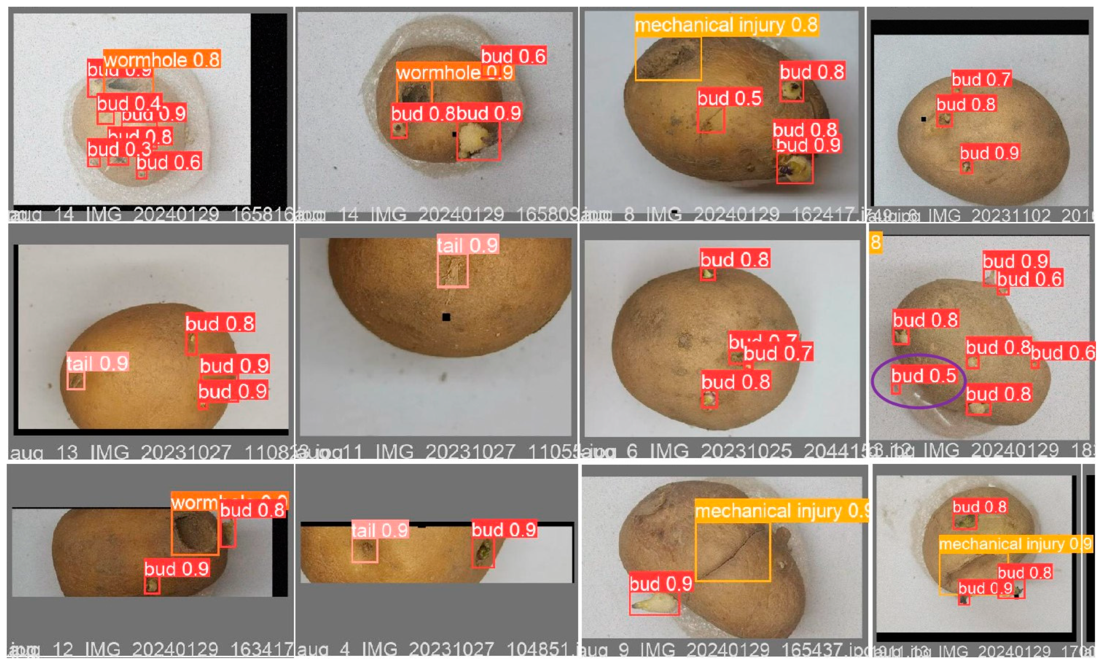 Agronomy 14 02558 g015