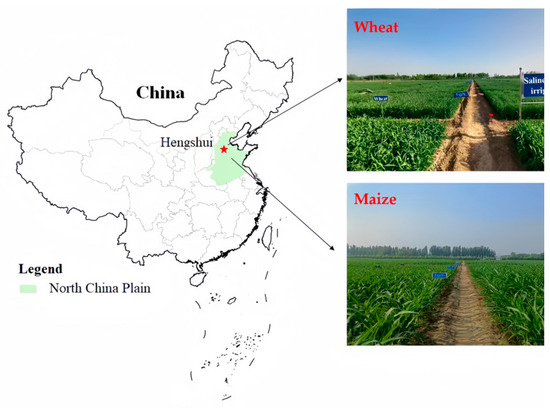 Saline Water Irrigation Changed the Stability of Soil