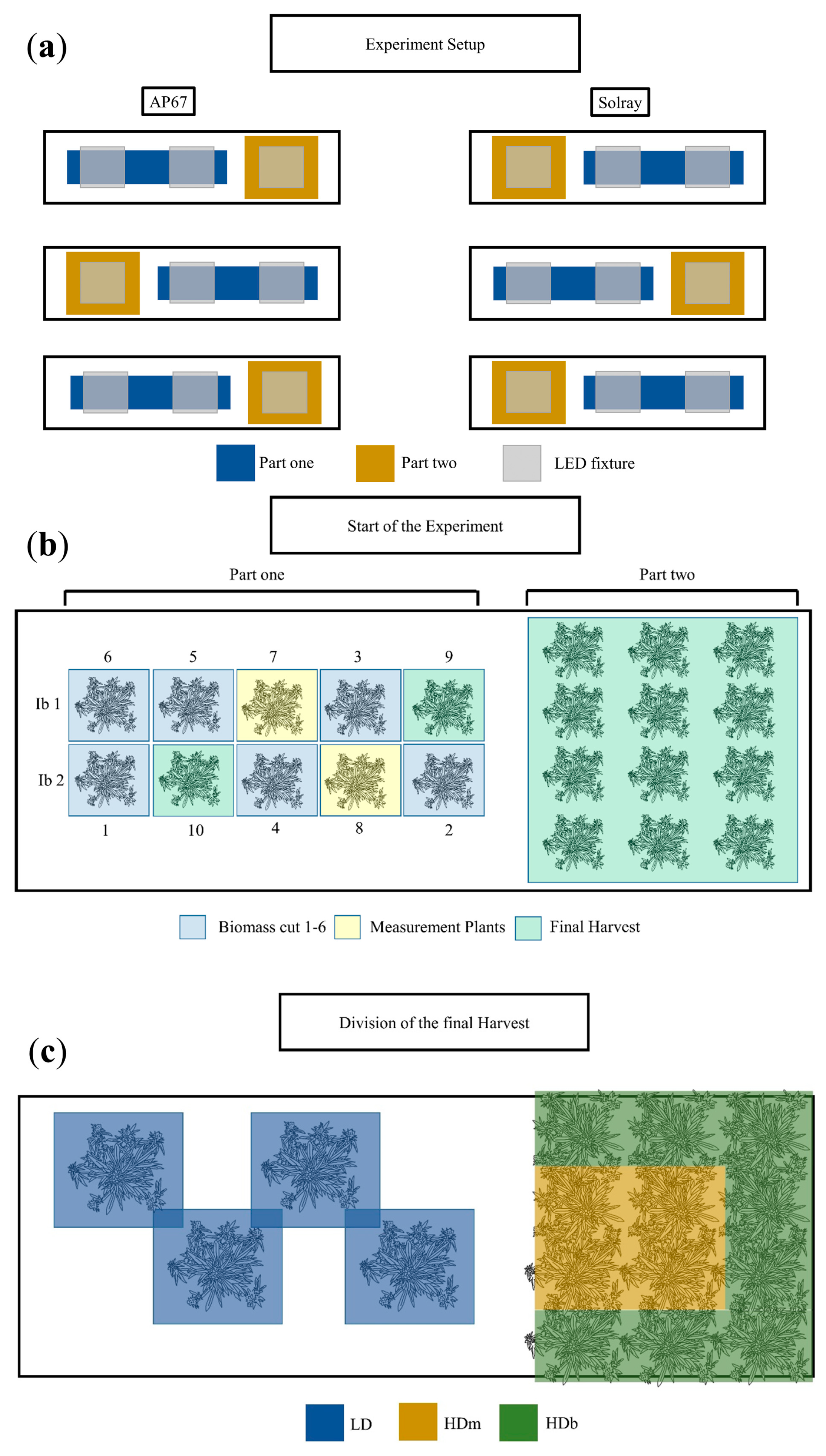 Agronomy 14 02565 g001