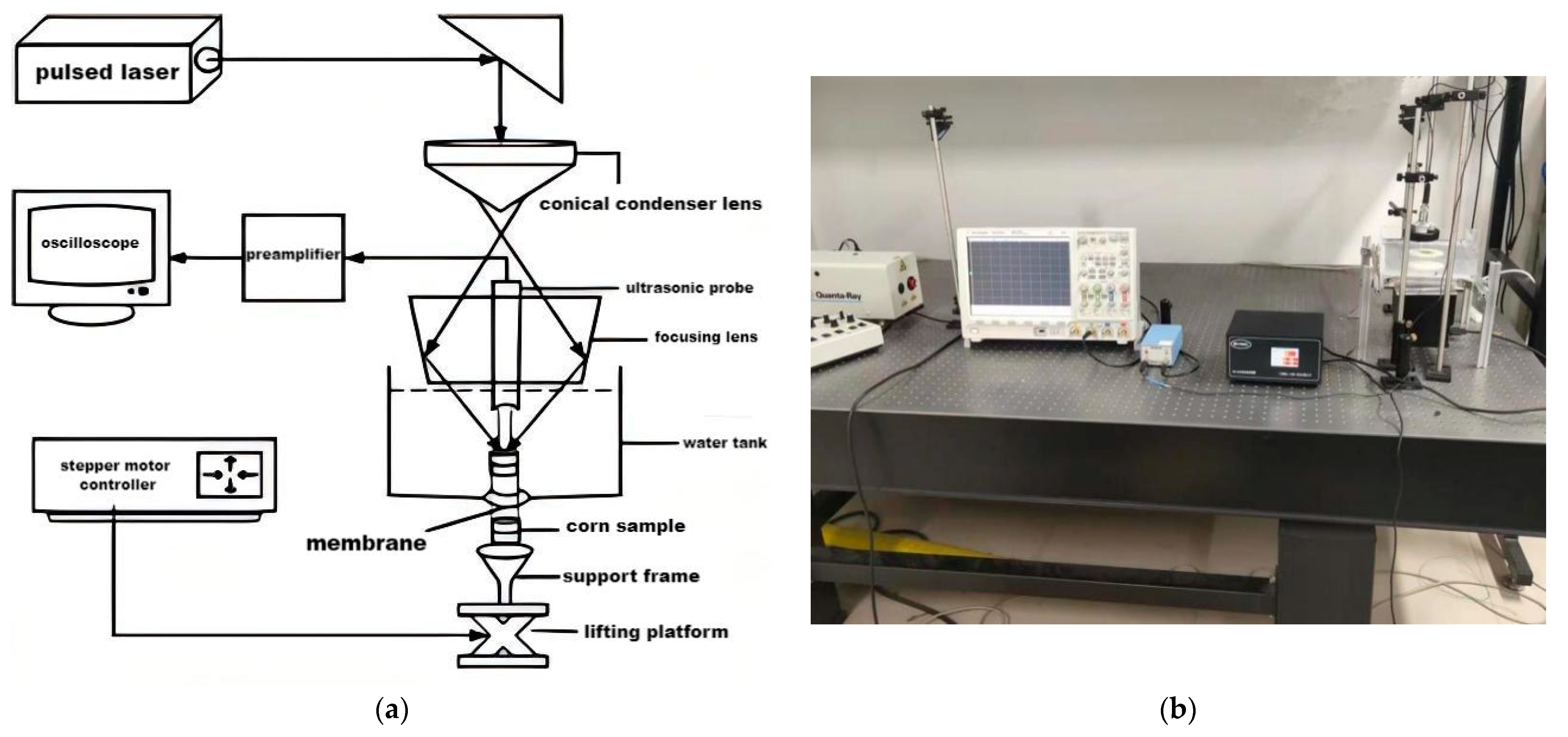 Agronomy 14 02567 g001