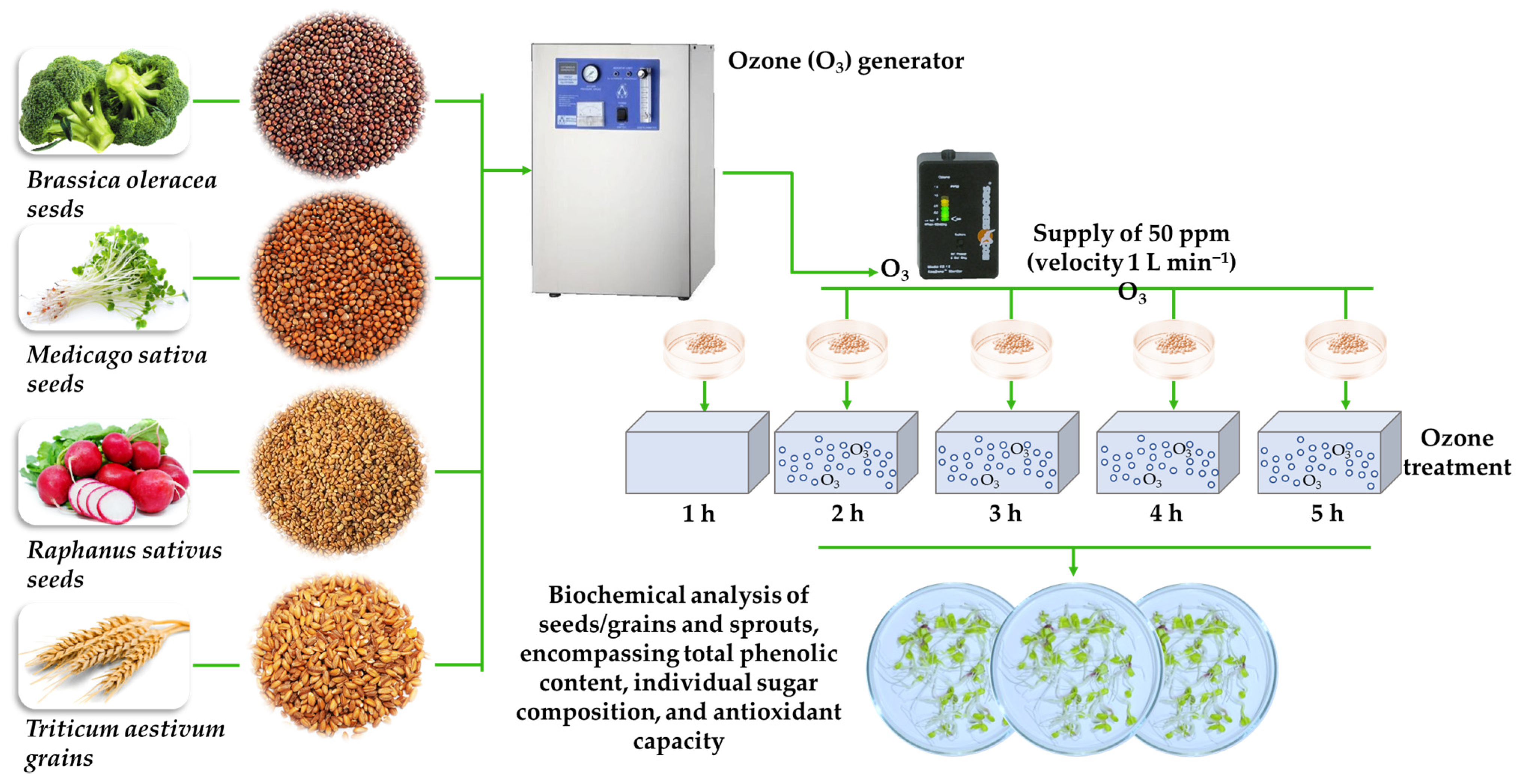 Agronomy 14 02571 g001