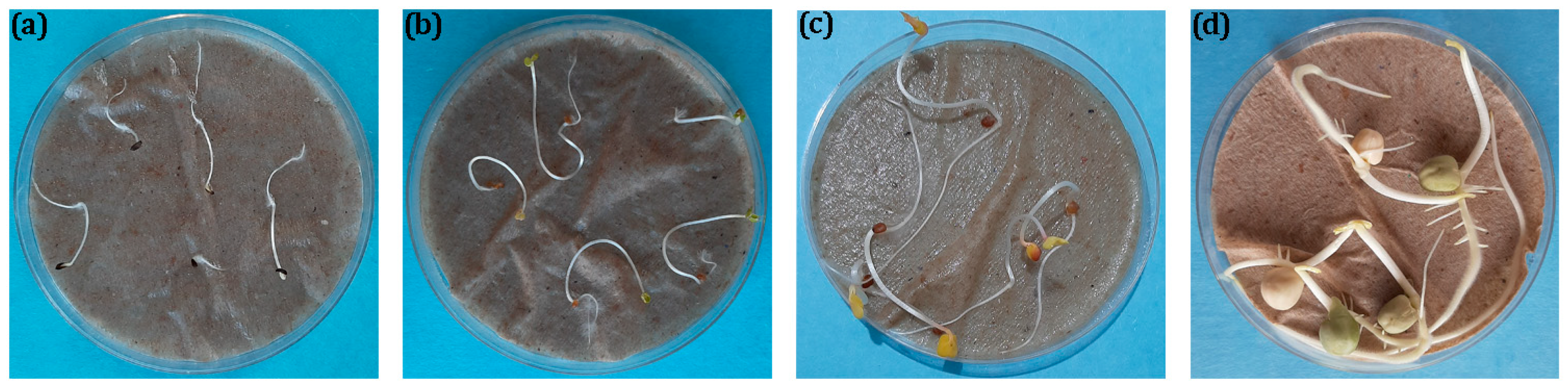 Agronomy 14 02573 g004