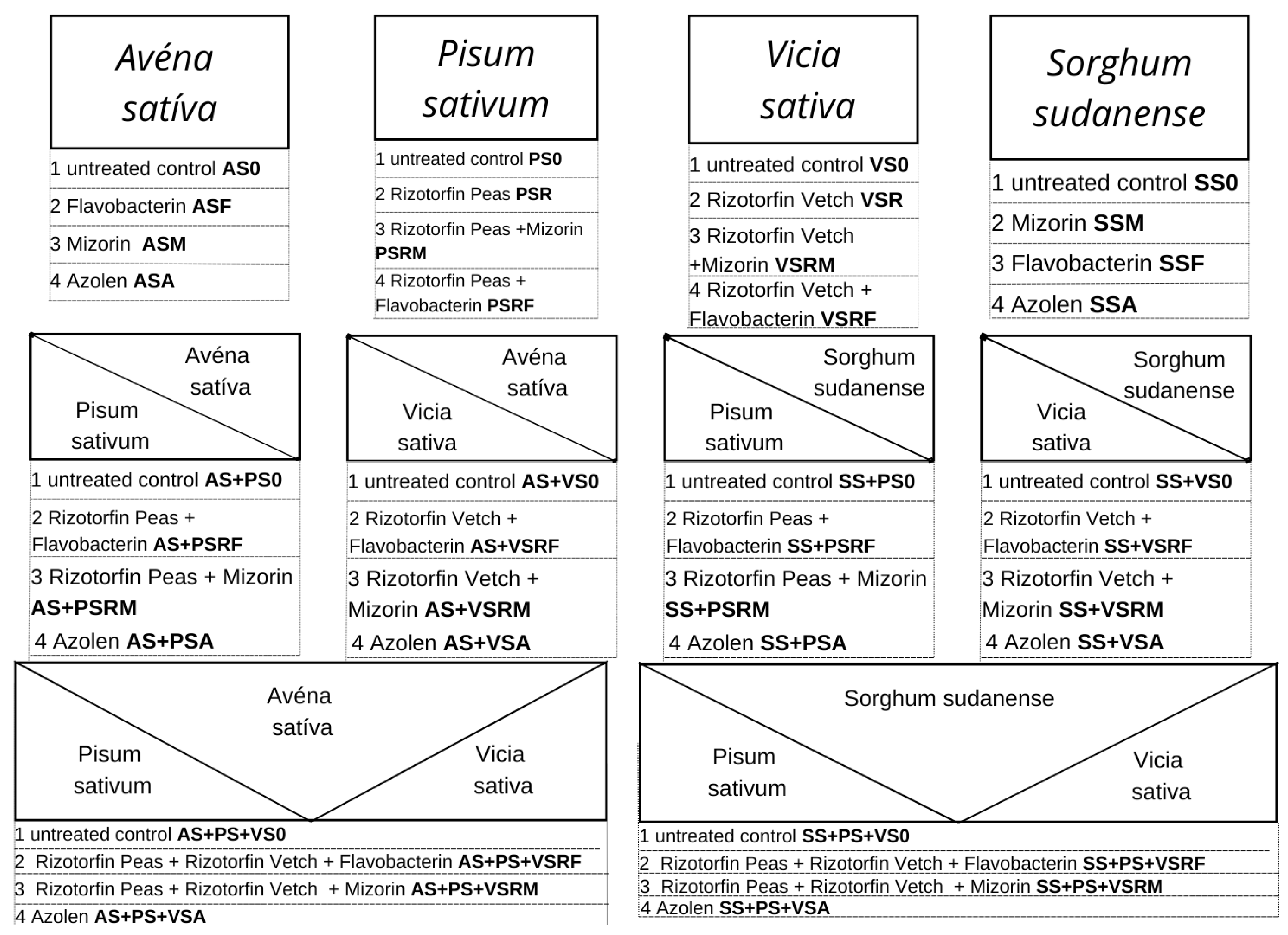 Agronomy 14 02574 g001