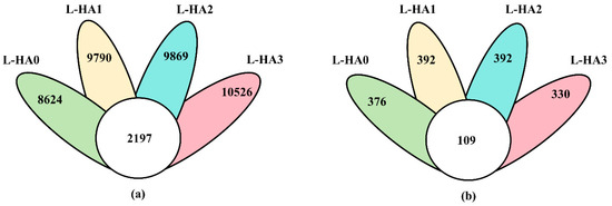 Impact of a Single Lignite Humic Acid Application on Soil