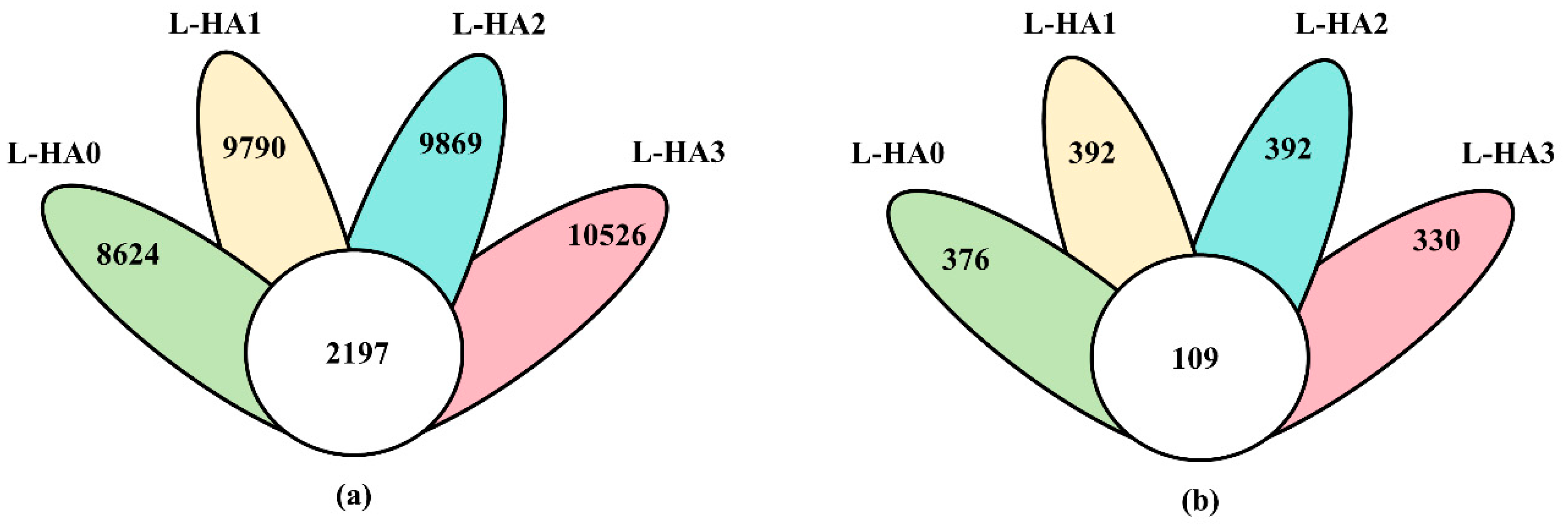 Agronomy 14 02581 g001