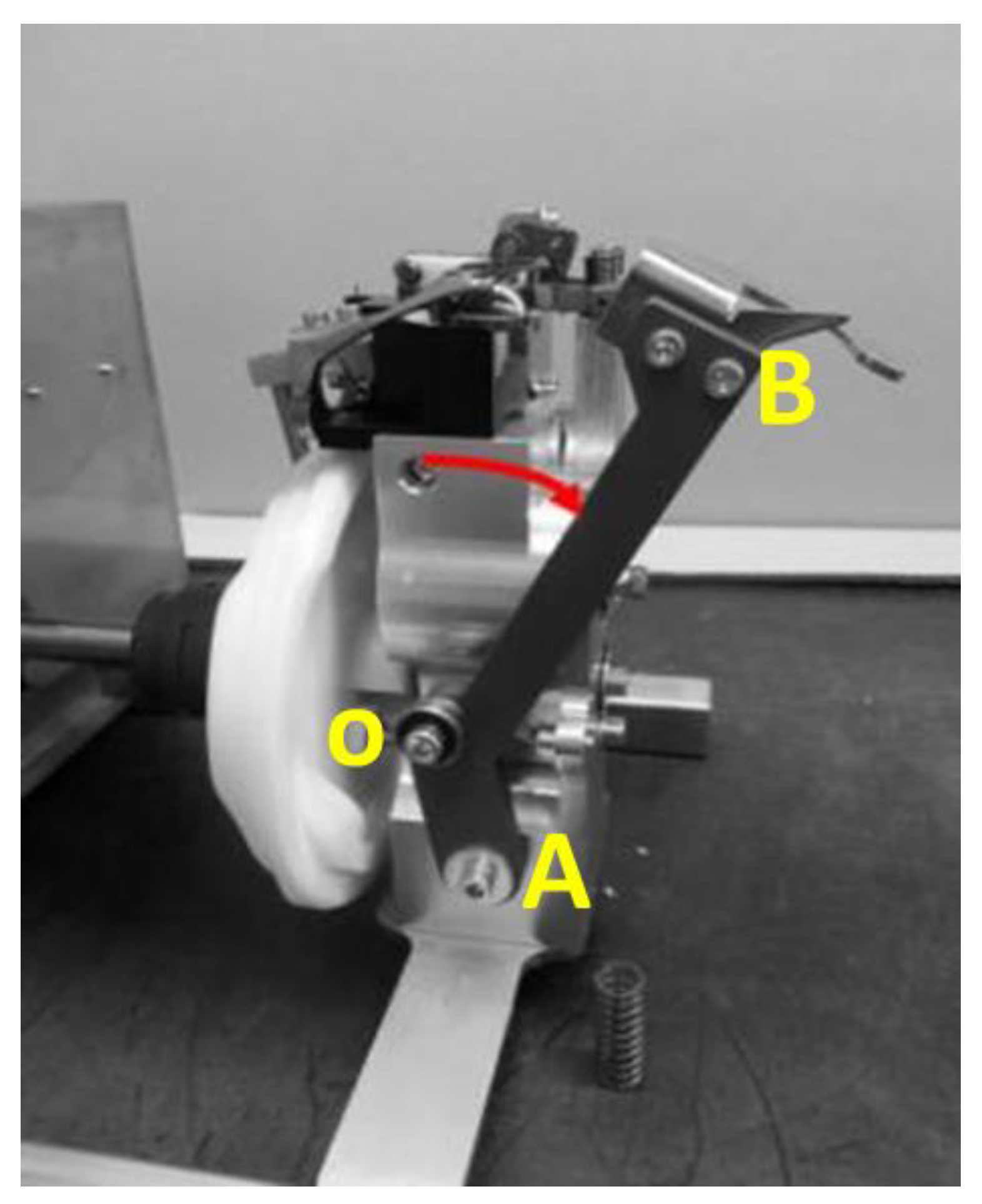 Agronomy 14 02589 g001