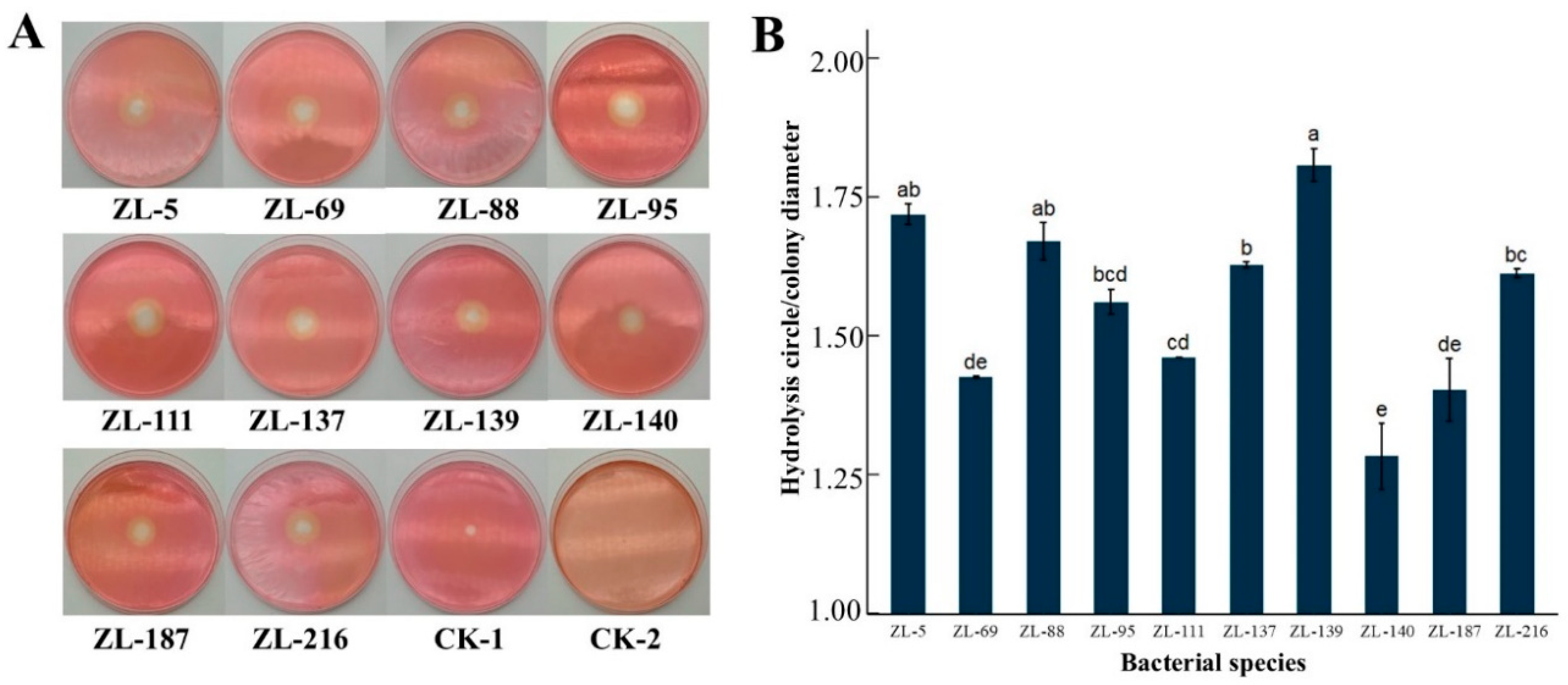 Agronomy 14 02591 g001