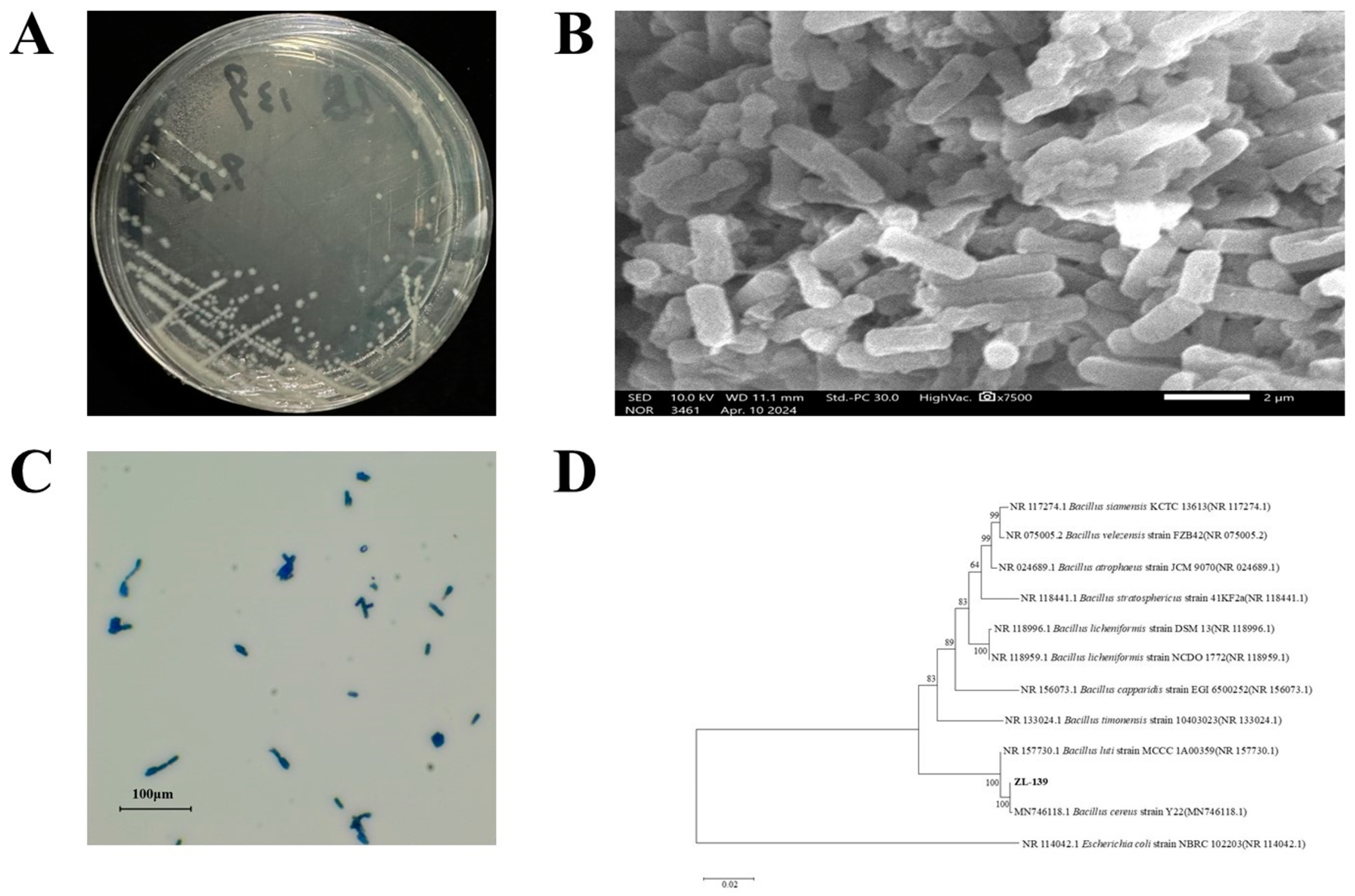 Agronomy 14 02591 g003