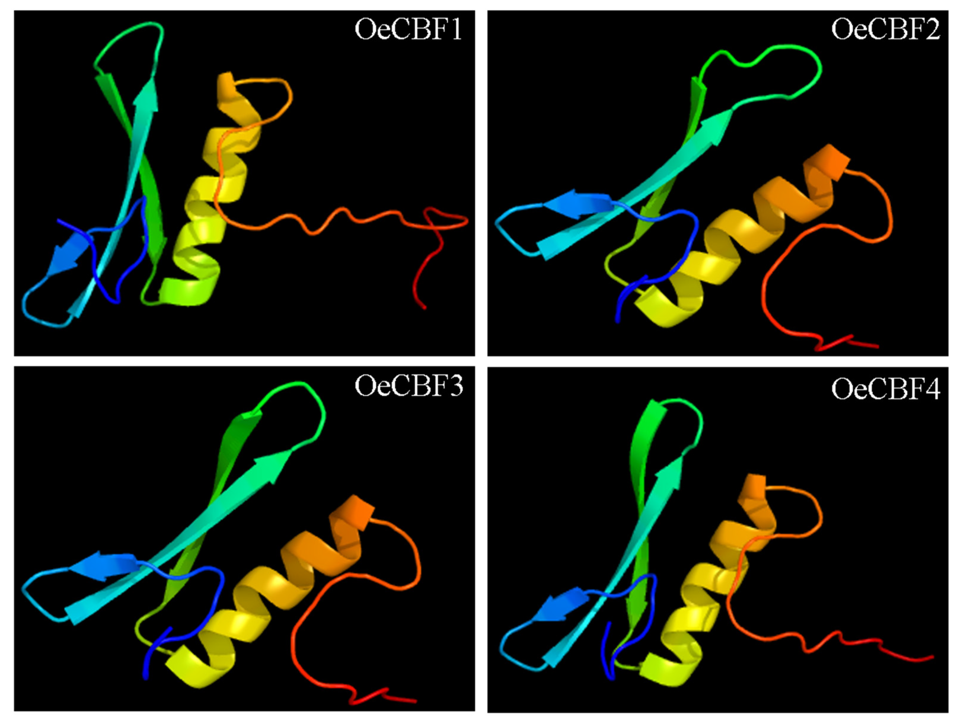 Agronomy 14 02593 g002 Agronomy 14 02593 g002