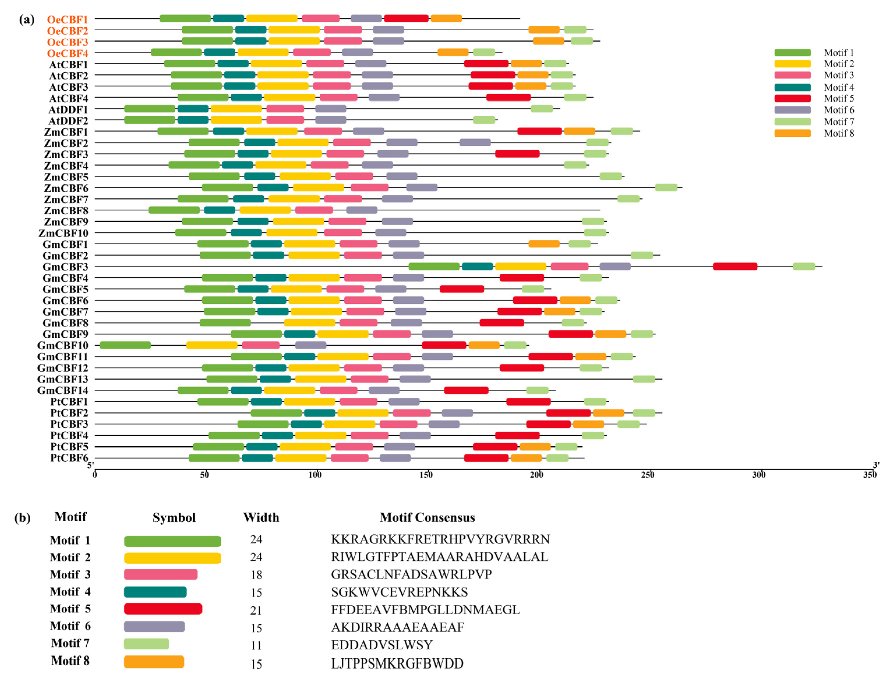 Agronomy 14 02593 g004 Agronomy 14 02593 g004