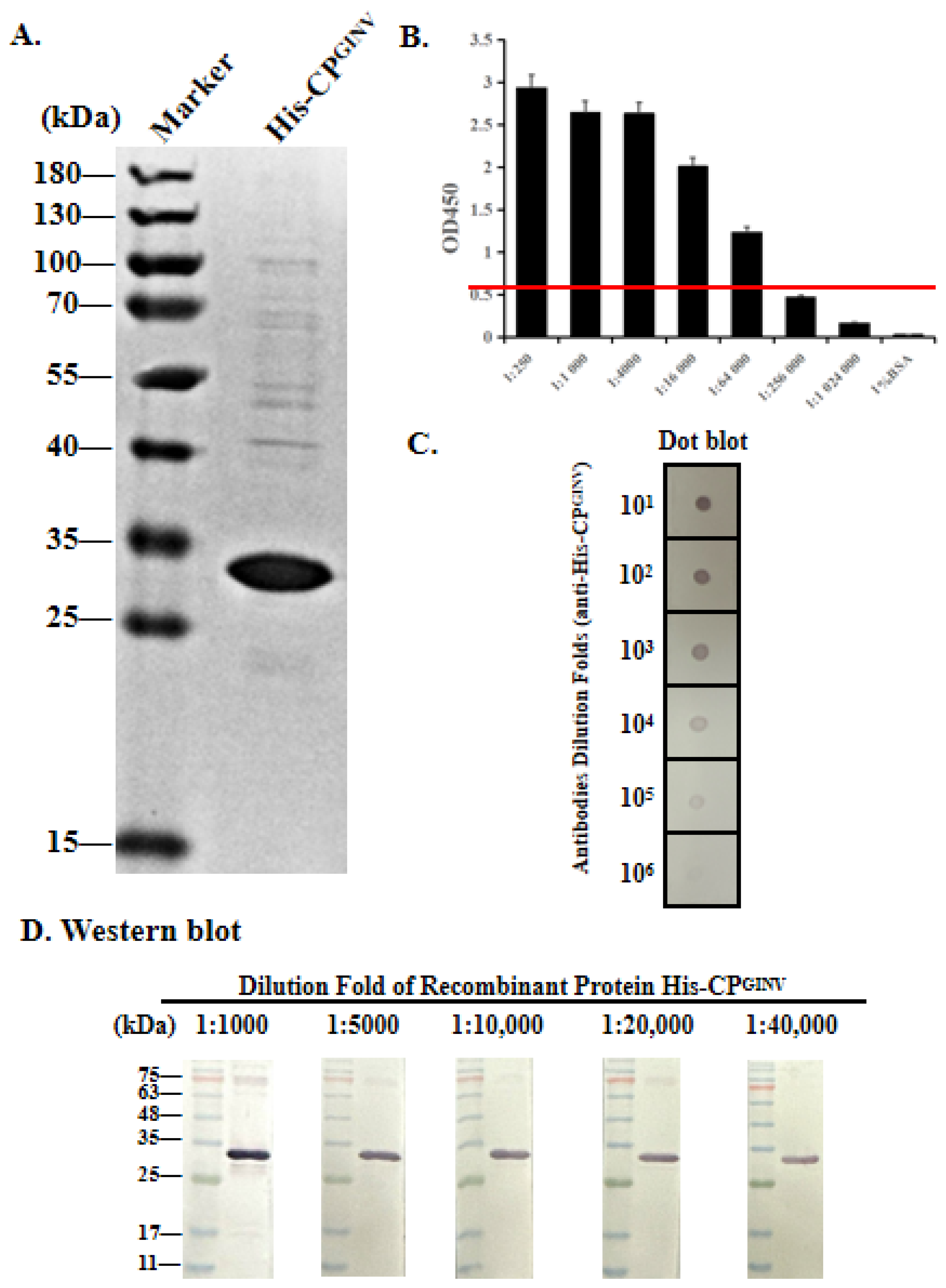 Agronomy 14 02594 g002